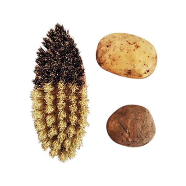 brosse-l-gumes-bois-h-tre-brosse-fruits-12-cm image 2
