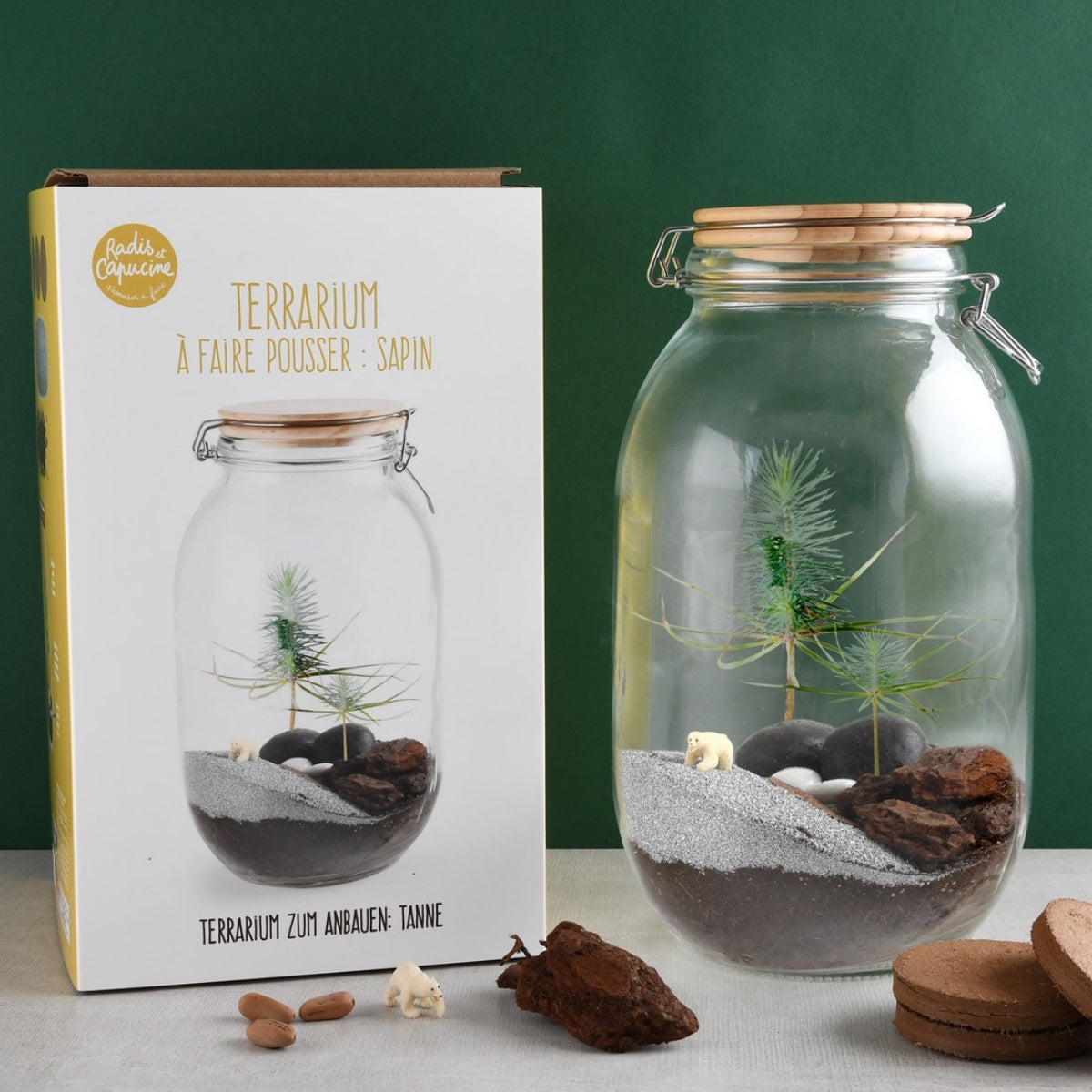 mes-courses-en-vrac-terrarium-v-g-tal-sapin-de-no-l-faire image 1