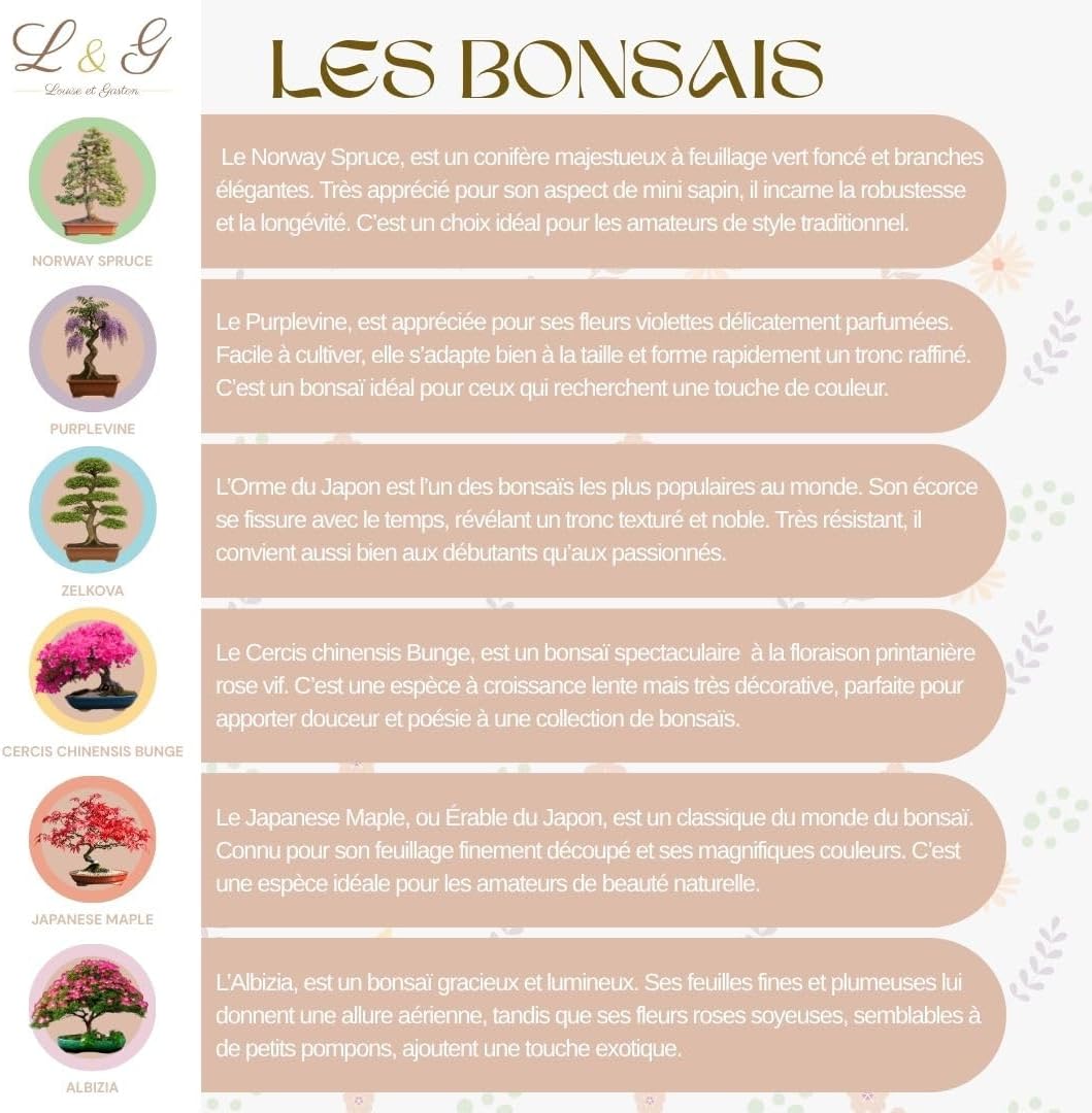 cultivea-kit-6-bonsa-s-graines-kit-planter-complet image 2