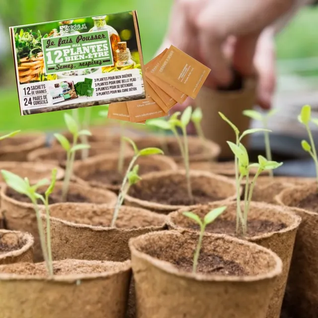 mes-courses-en-vrac-kits-planter-12-plantes-bien-tre-kit-graines image 1