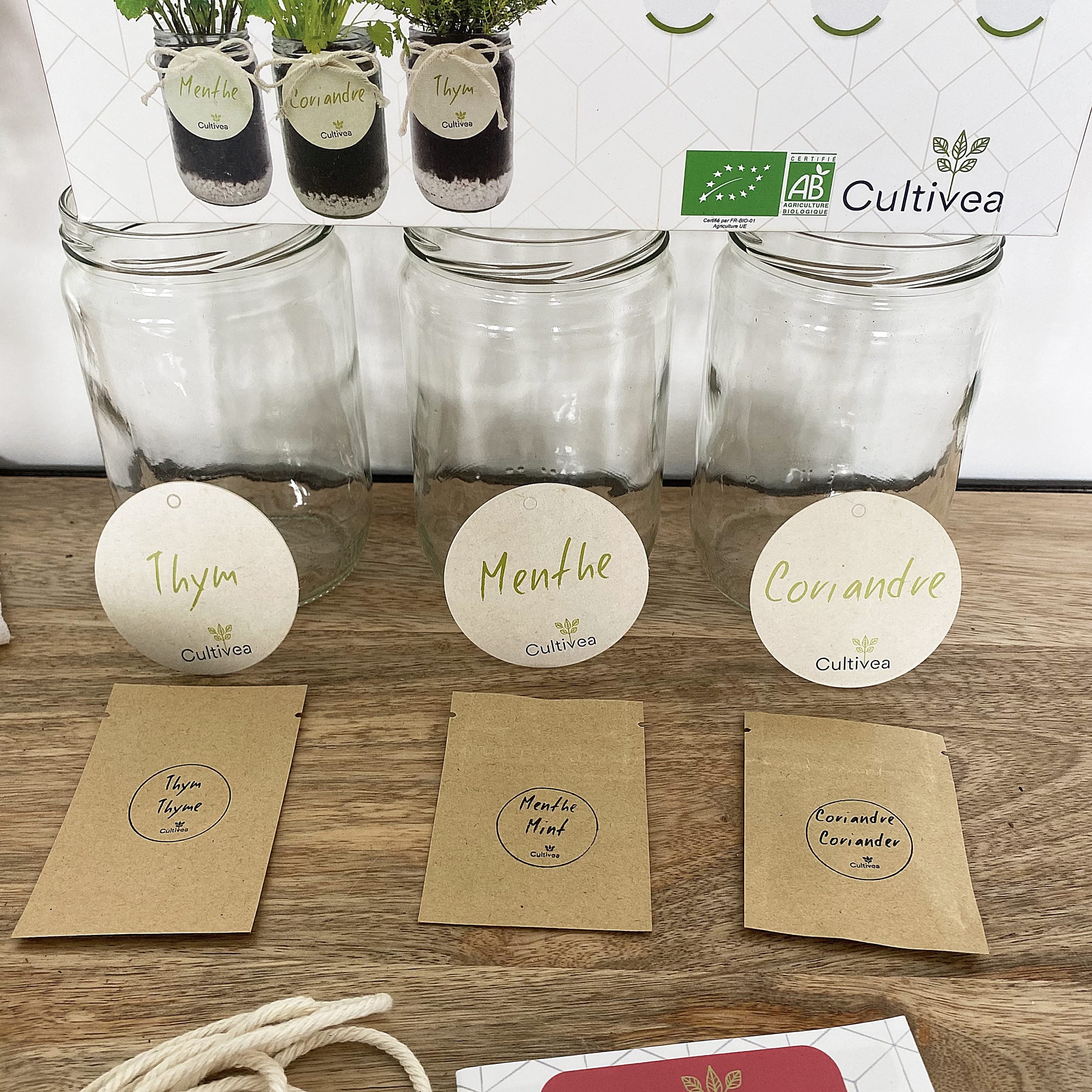 cultivea-kit-herbes-aromatiques-bio-menthe-coriandre-thym image 3