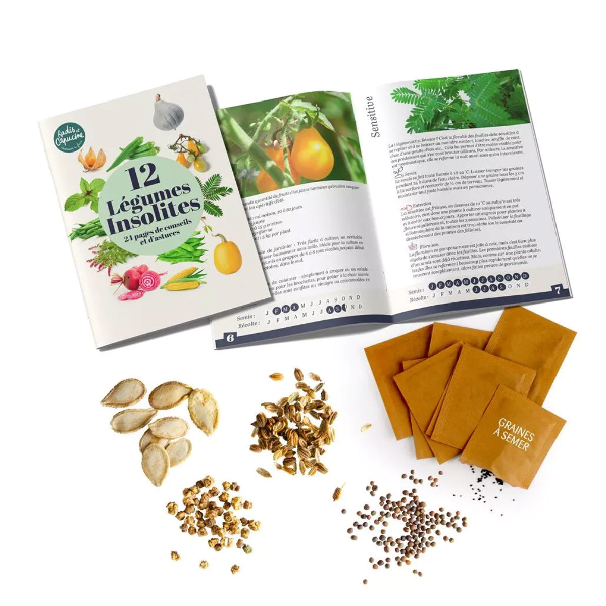 radis-et-capucine-je-fais-pousser-coffret-graines-12-l-gumes image 3