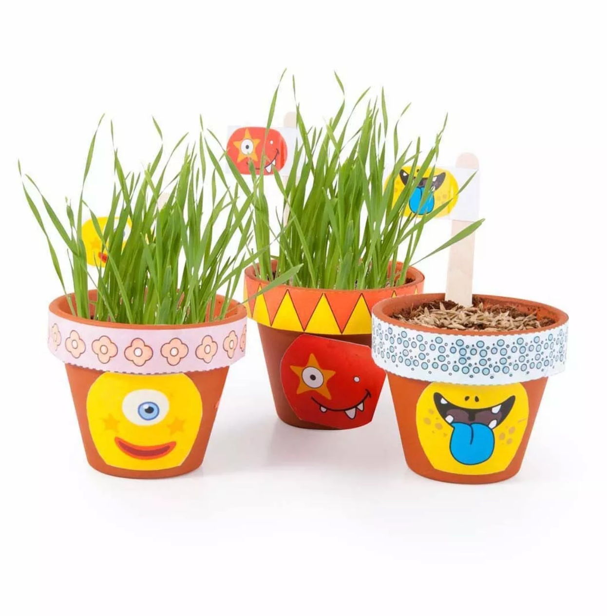 radis-et-capucine-coffret-anniversaire-10-pots-monstres-herbe image 3