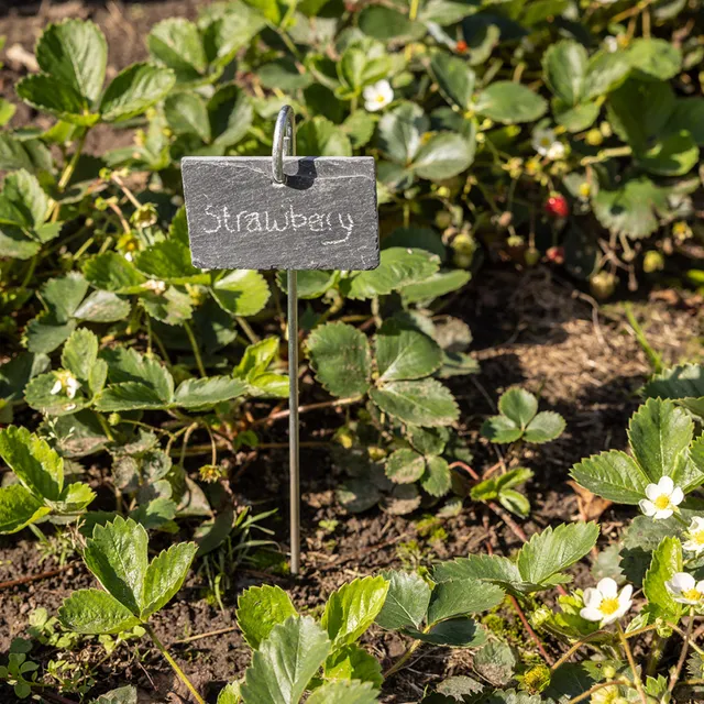mes-courses-en-vrac-marqueur-plante-ardoise-sur-tige-36-5-cm image 1