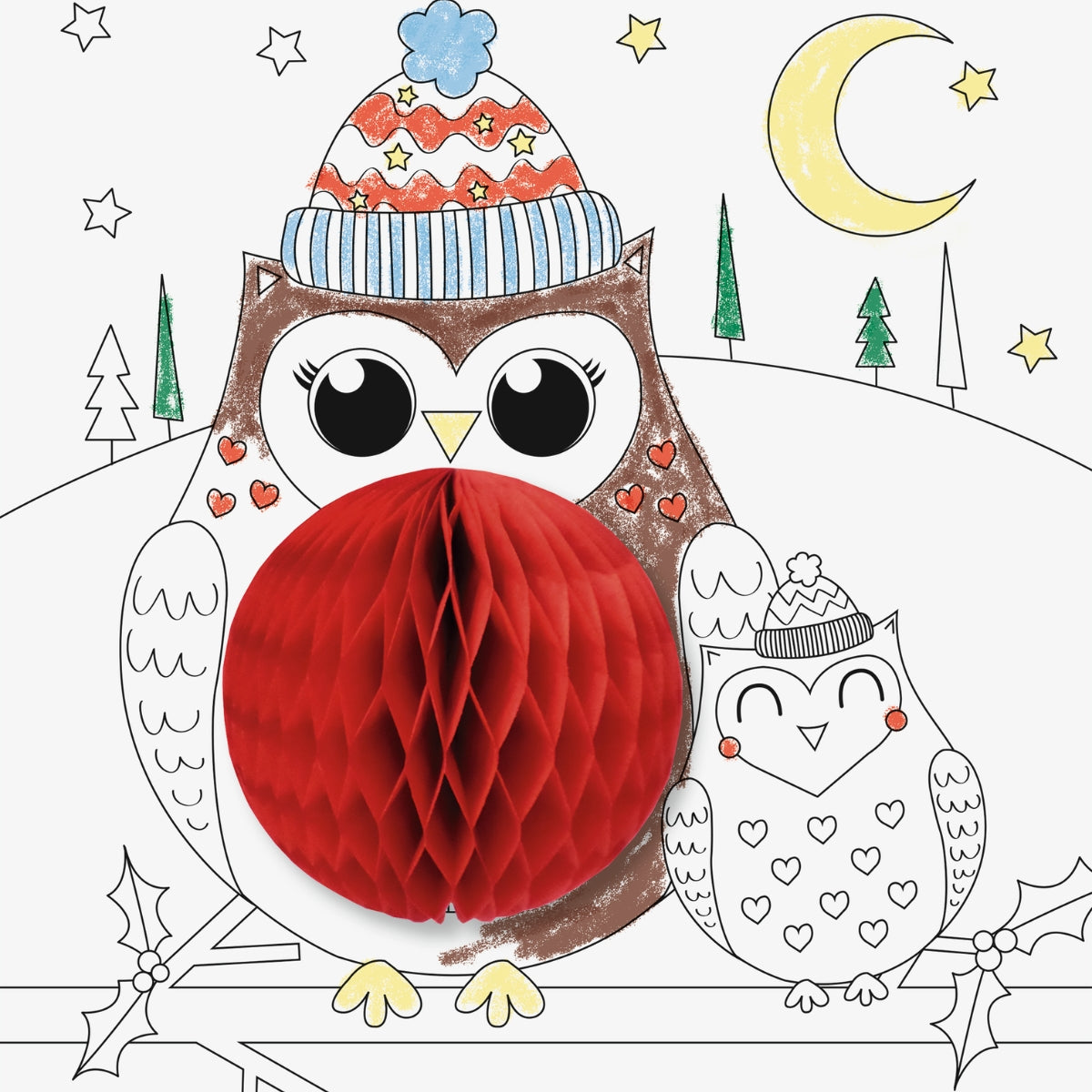 kit-coloriage-3d-animaux-de-l-hiver-cartes-crayons-enfant image 3