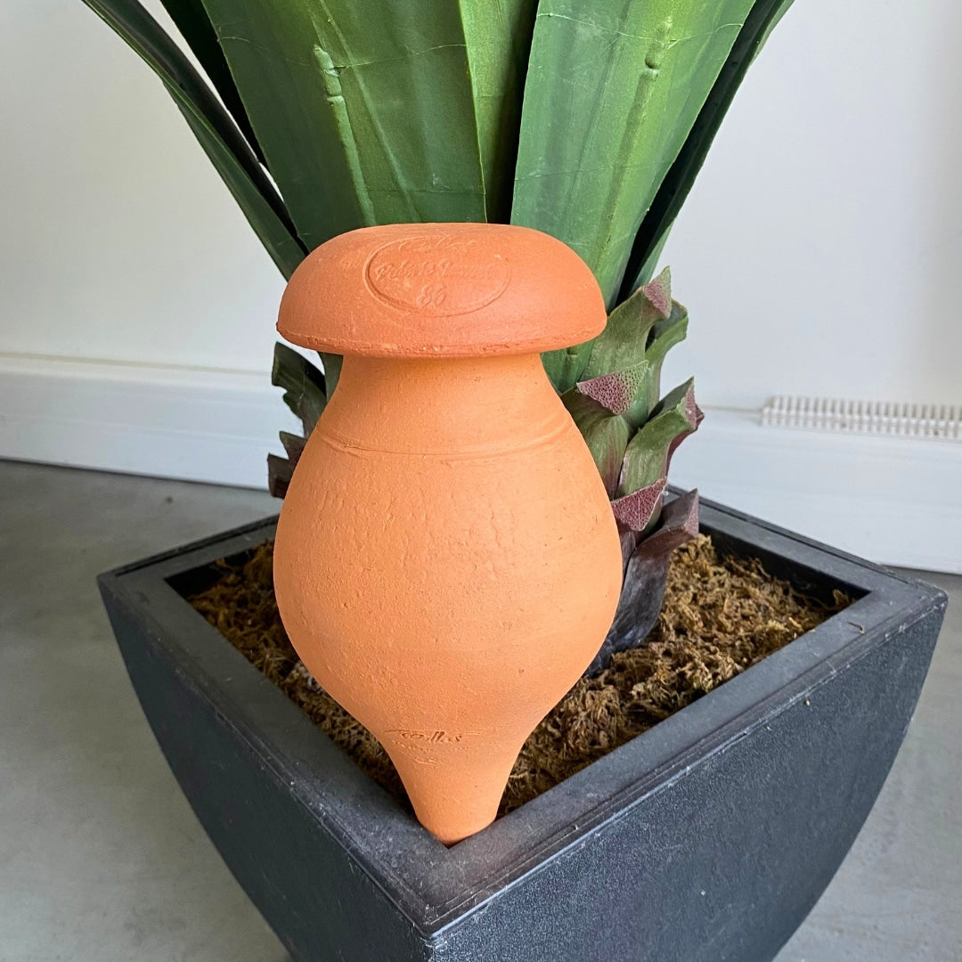mes-courses-en-vrac-ollas-planter-0-5-l-terre-brute-arrosage image 3