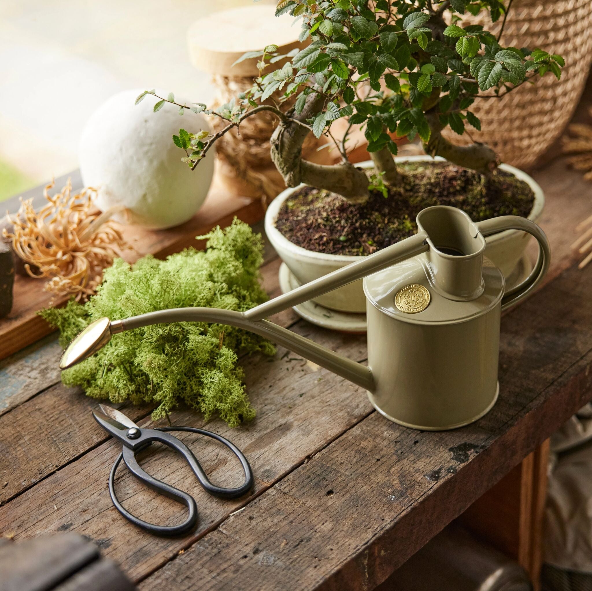 haws-rowley-ripple-arrosoir-set-lichen-vert-cuivre-2-pintes image 2