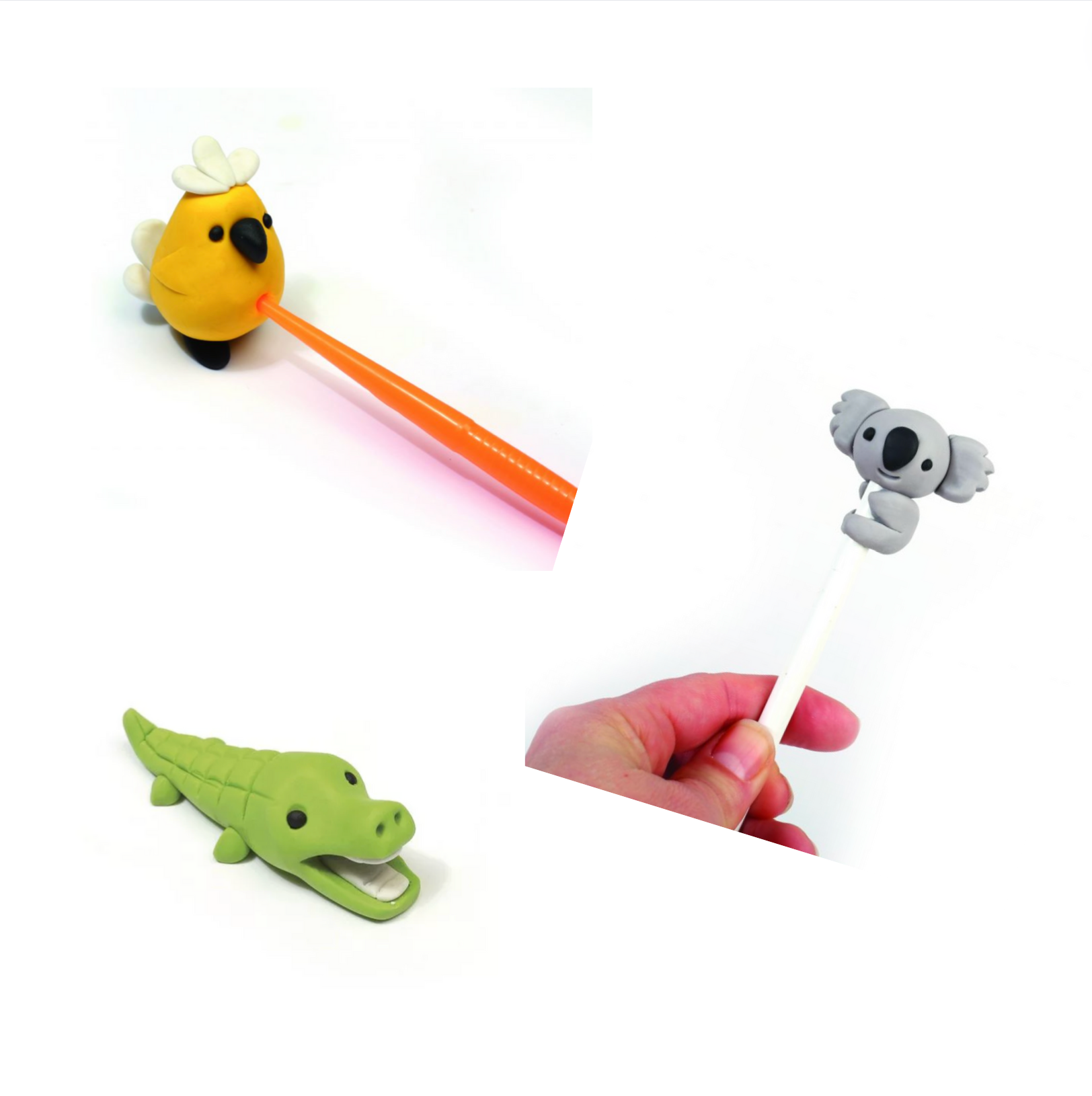 graine-cr-ative-patagom-animaux-sauvages-kit-gommes image 3