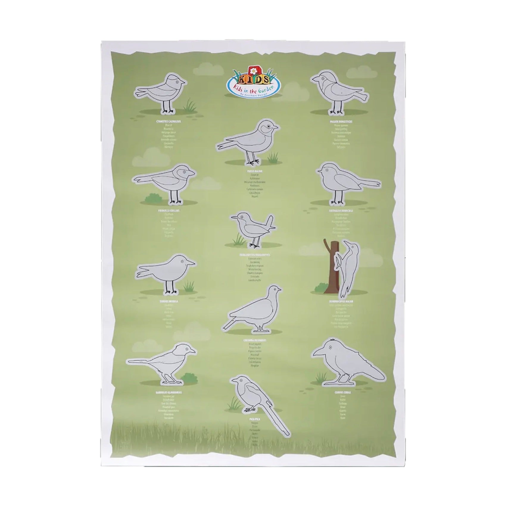 esschert-design-poster-gratter-oiseaux-affiche-ducative-enfants image 1