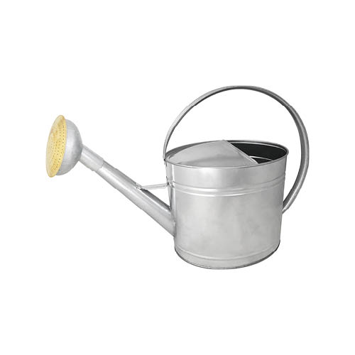 guillouard-luciole-arrosoir-13l-acier-pomme-grille-laiton image 1