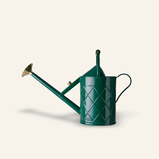 haws-hockley-heritage-hdg-arrosoir-ext-rieur-vert-2-gallons-galvanis image 1
