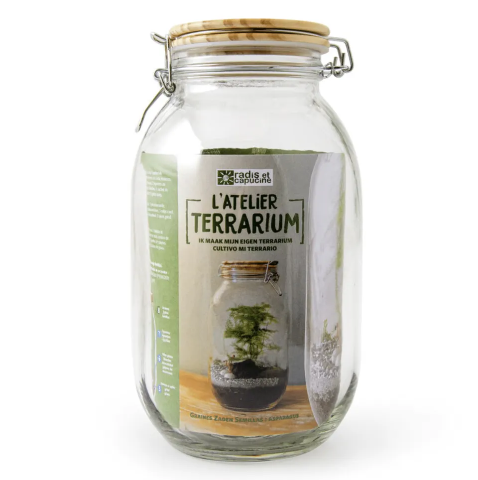 radis-et-capucine-terrarium-faire-soi-m-me-bocal-verre image 1