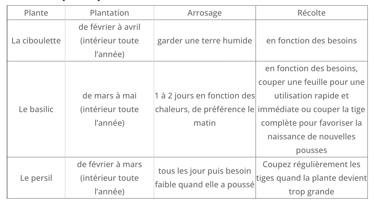 cultivea-kit-herbes-aromatiques-bio-ciboulette-basilic-persil image 4