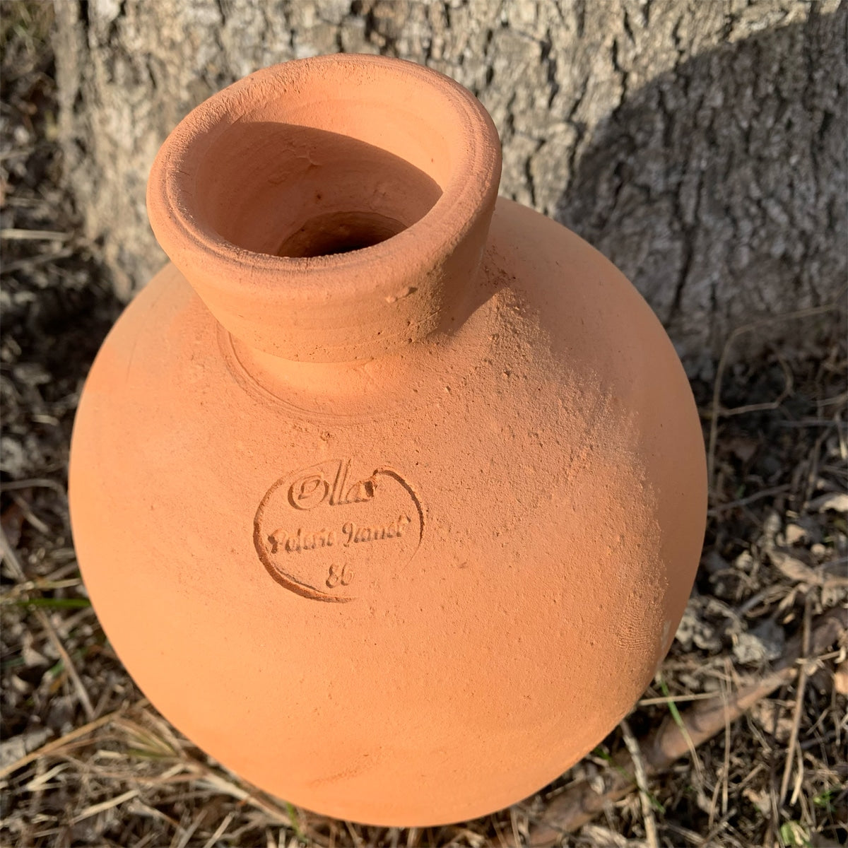 ollas-jamet-speleo-ollas-irrigation-3-l-arrosage-conome image 3