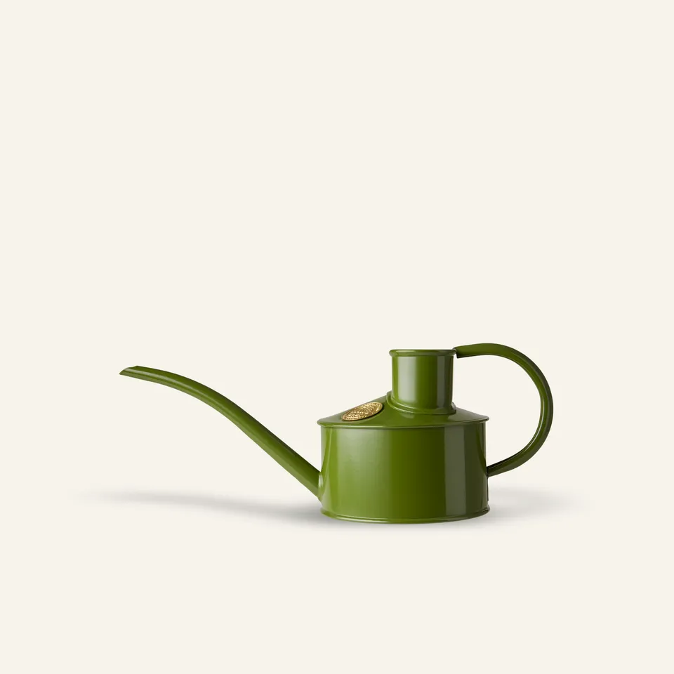 haws-fazeley-flow-arrosoir-int-rieur-vert-1-pinte image 1