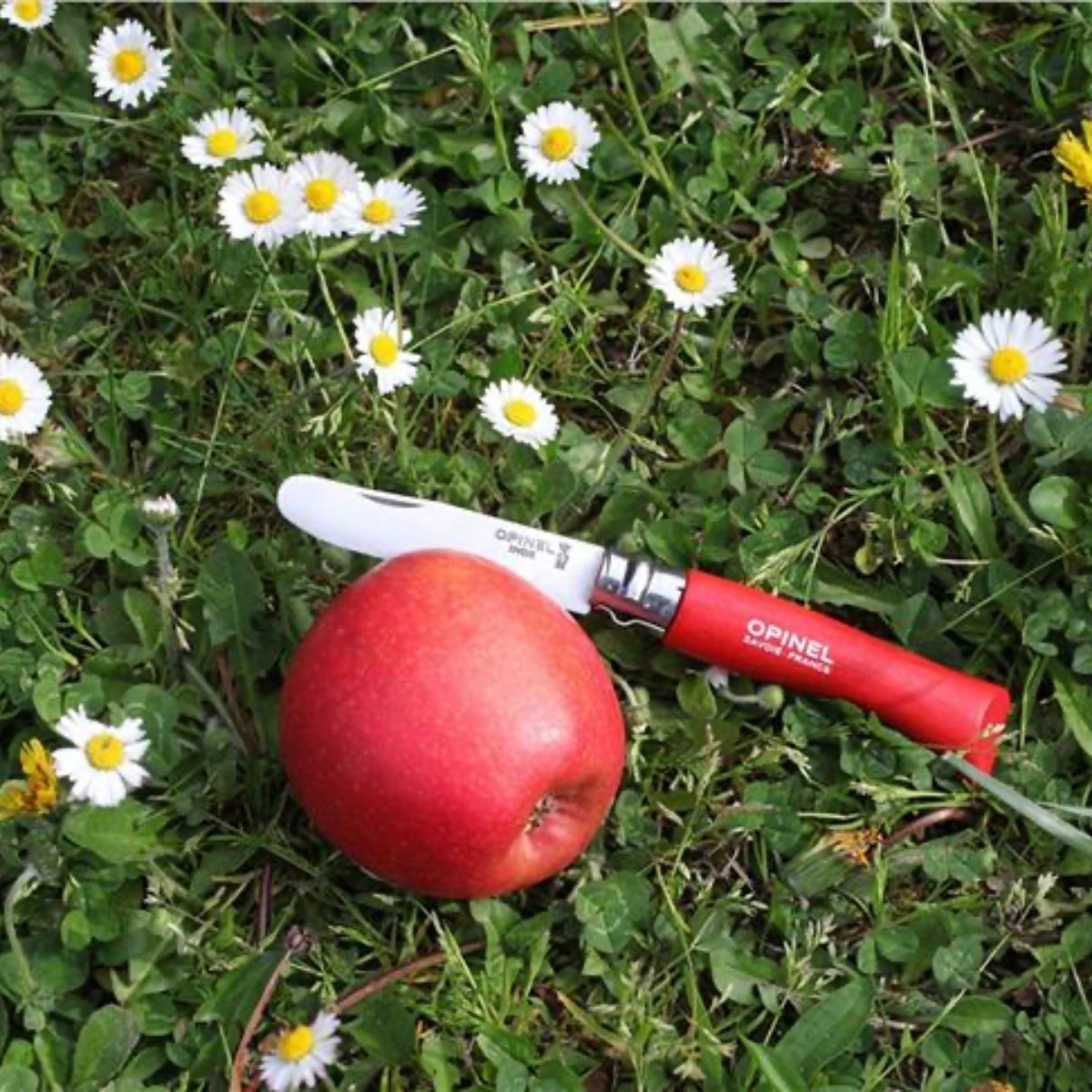 opinel-n-7-mon-premier-couteau-enfant-rouge-bout-rond image 2