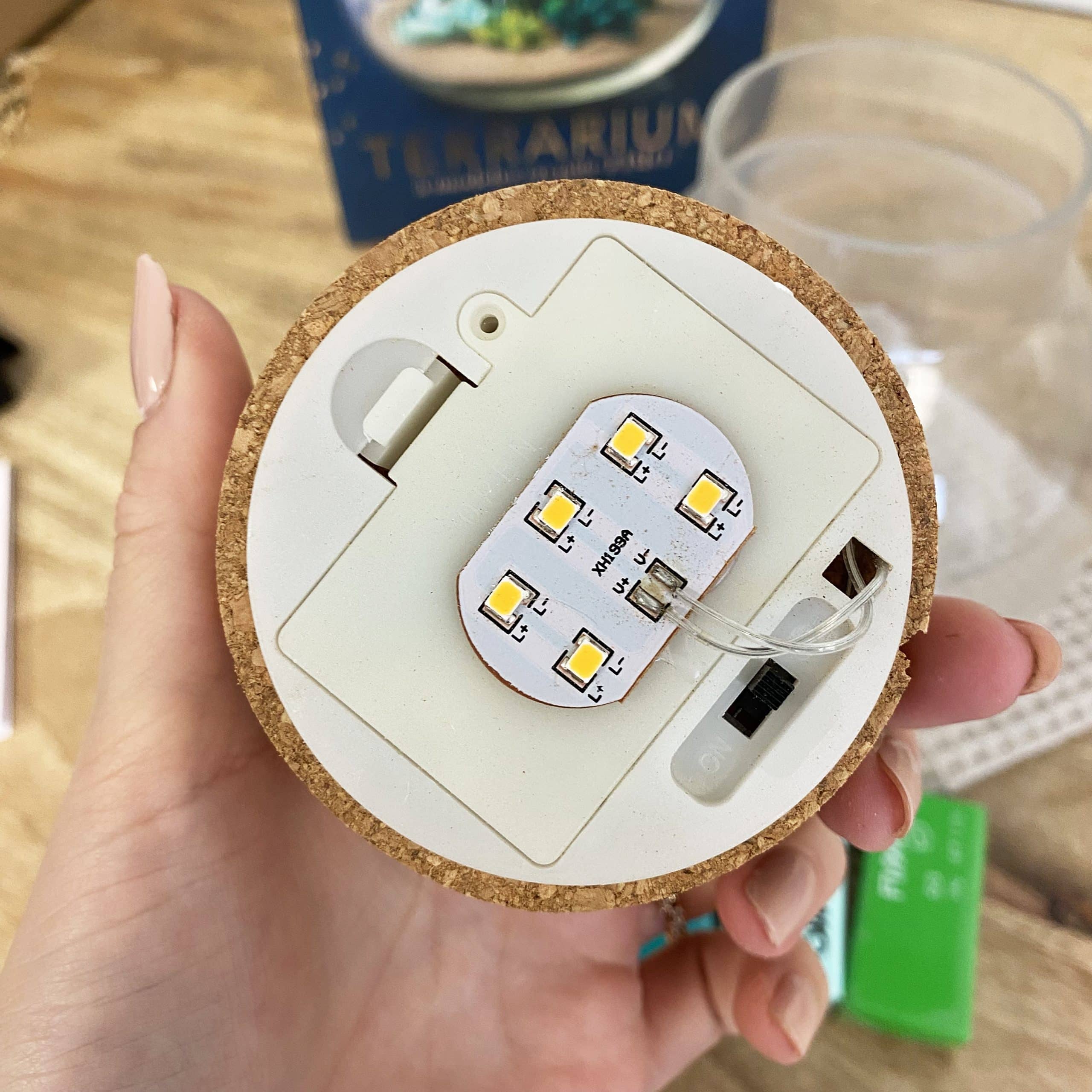 mes-courses-en-vrac-terrarium-fimo-faire-soi-m-me-verre-led image 3