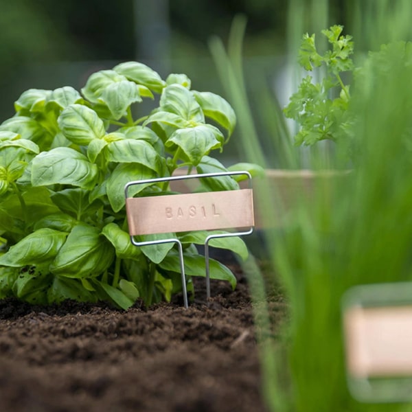 kit-poin-ons-tiquette-de-plantes-potager image 1