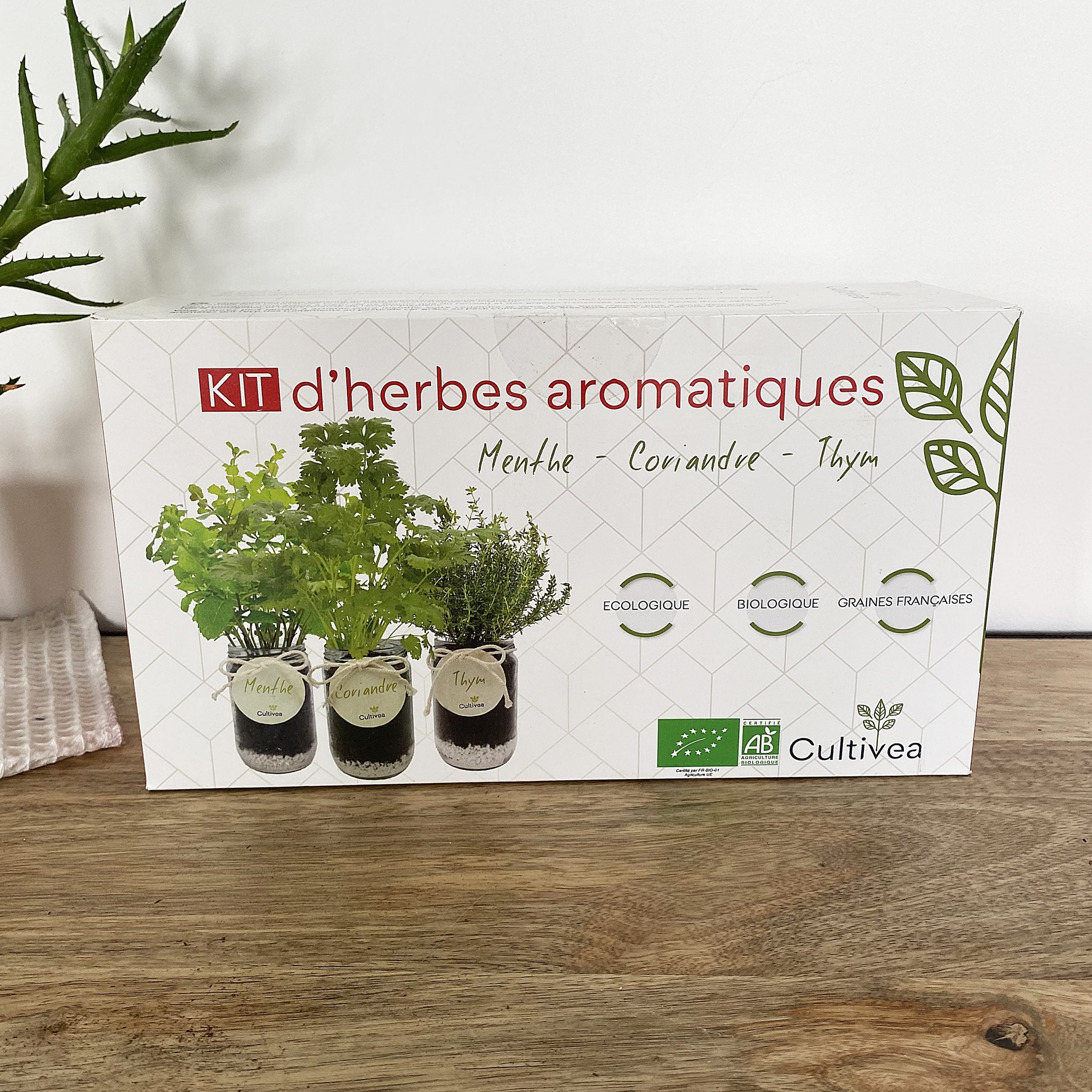 cultivea-kit-herbes-aromatiques-bio-menthe-coriandre-thym image 4