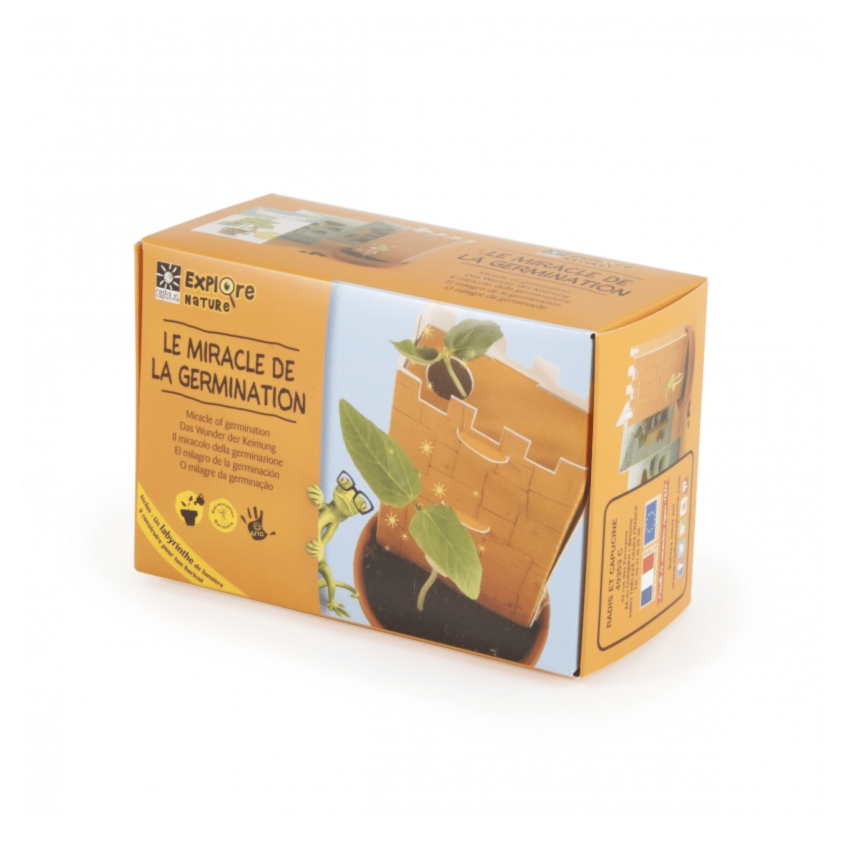mes-courses-en-vrac-miracle-coffret-germination-haricot-enfant-5-10-j image 2