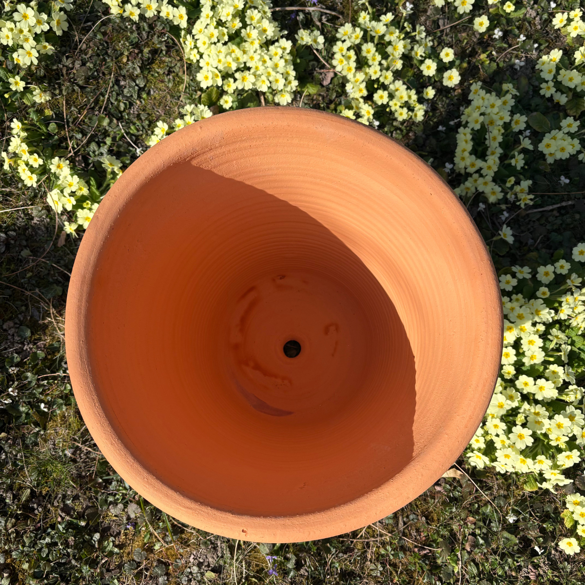 jamet-tilia-pot-ornement-terre-cuite-45l-gel image 3