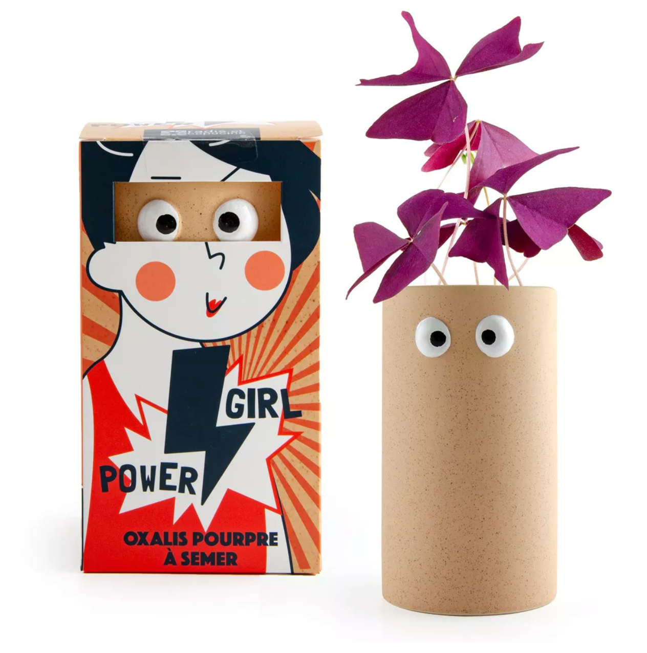radis-et-capucine-girl-power-kit-oxalis-pourpre-2-bulbes image 1