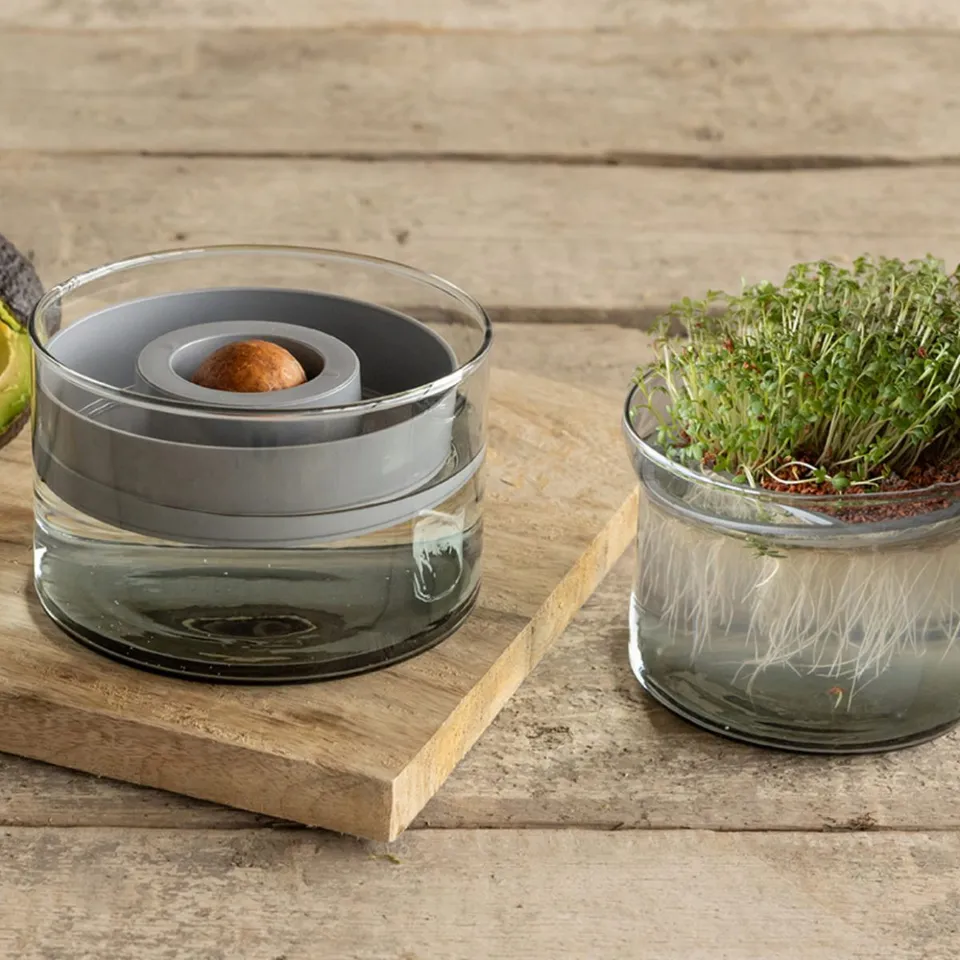 esschert-design-kit-germination-verre-recycl-12-cm image 1