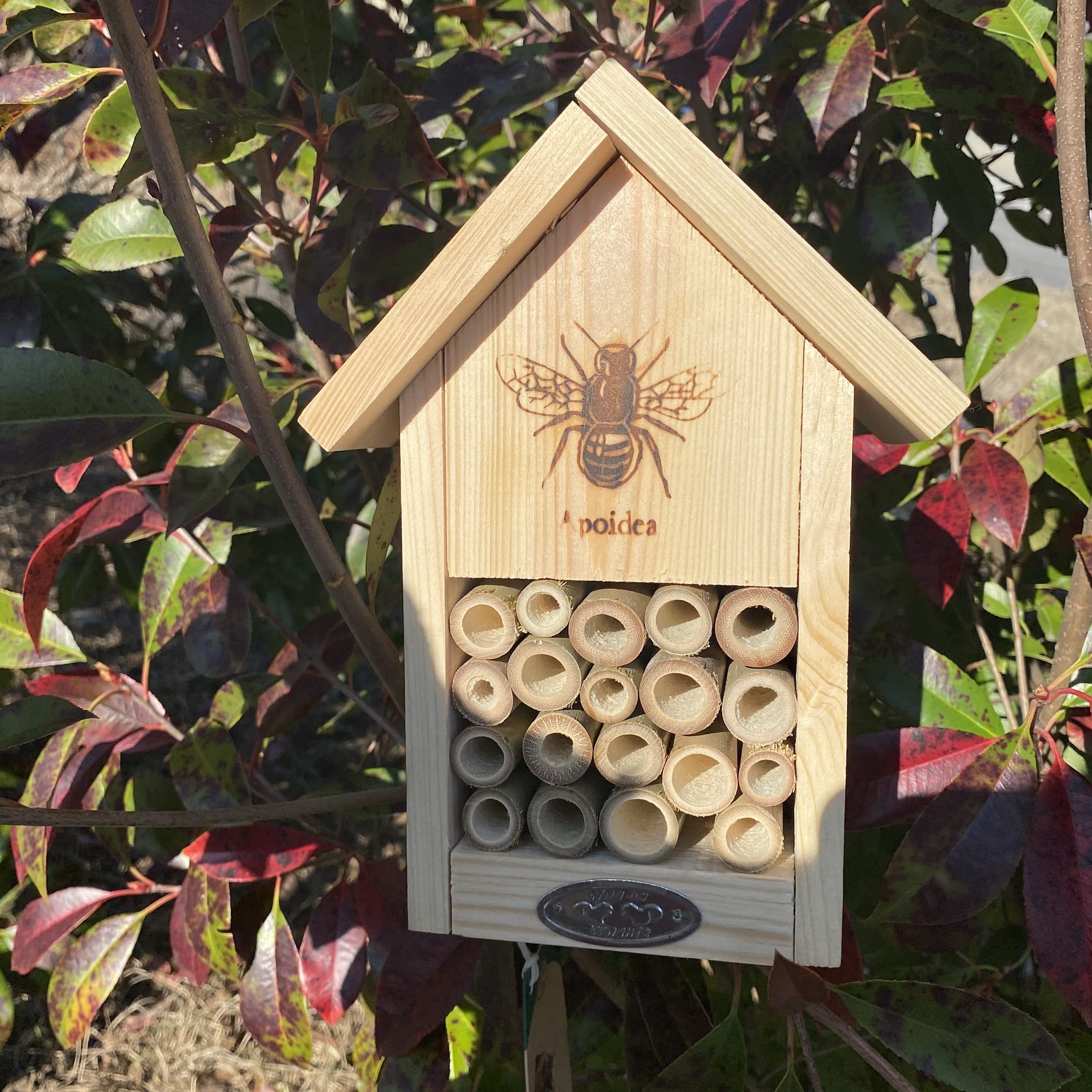 esschert-design-abri-abeilles-silhouette-bois-bambou image 2