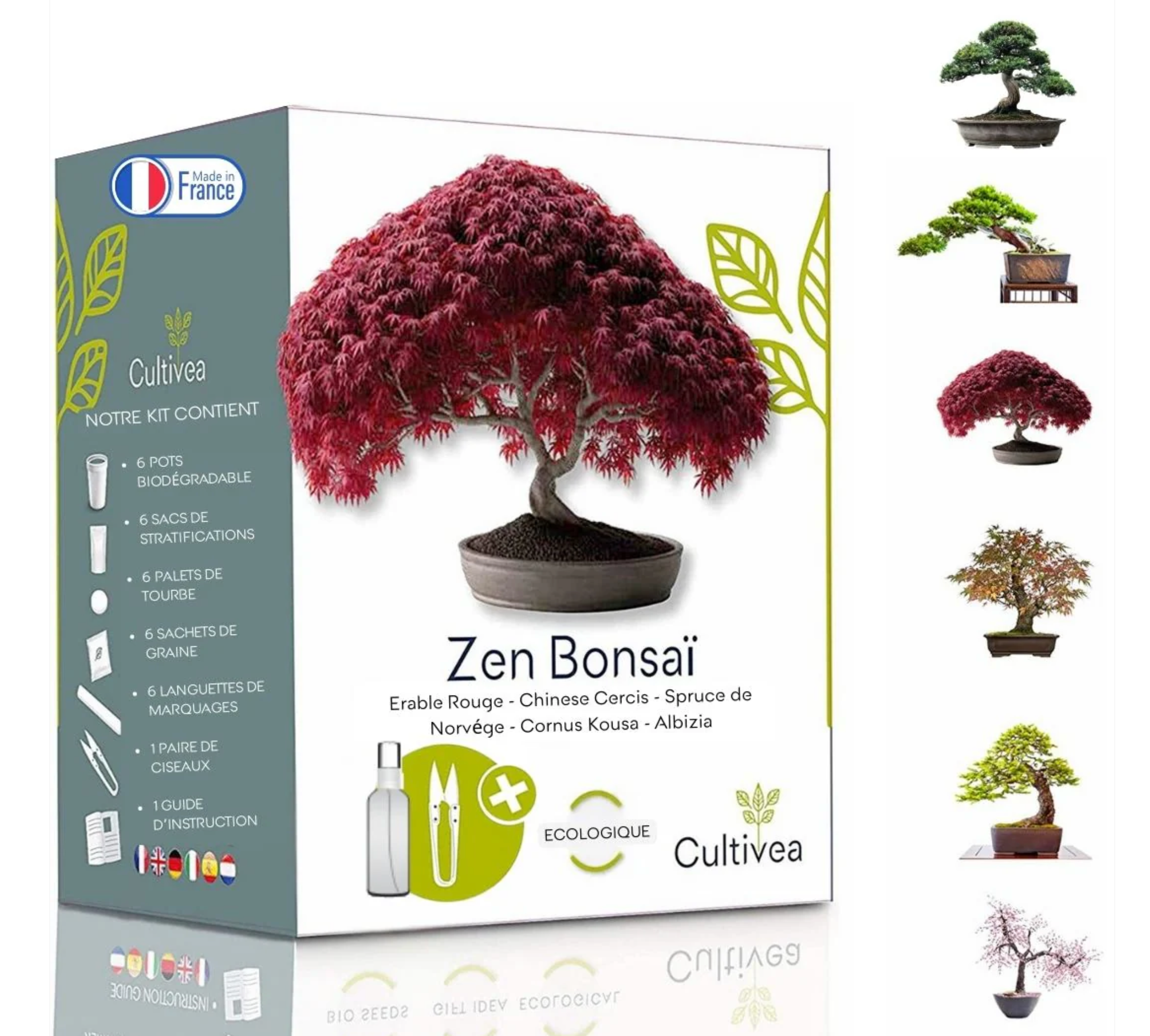 cultivea-mini-kit-6-bonsa-faire-pousser-kit-planter-6-vari-t-s image 1