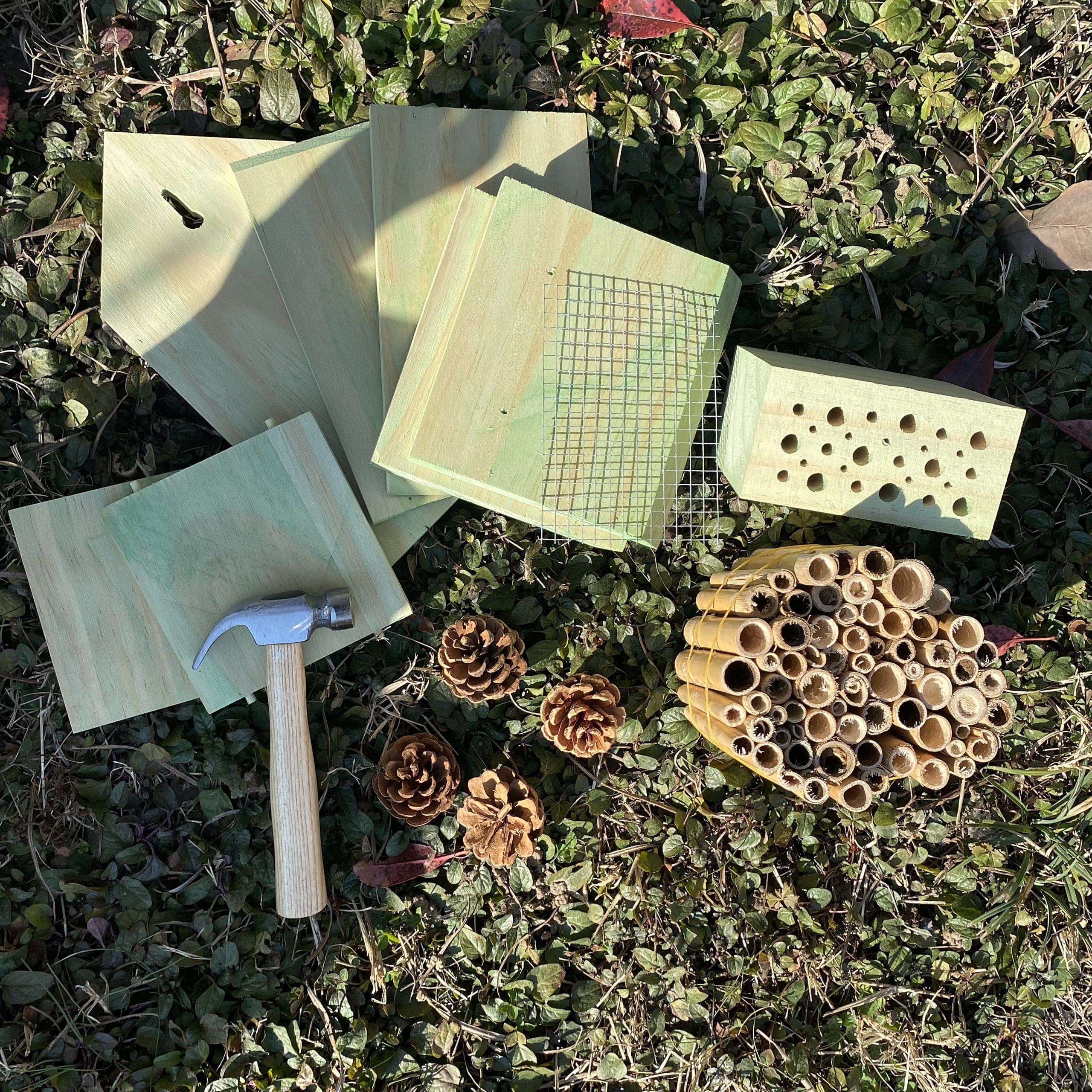 mes-courses-en-vrac-h-tel-insectes-assembler-bois-bambou image 2