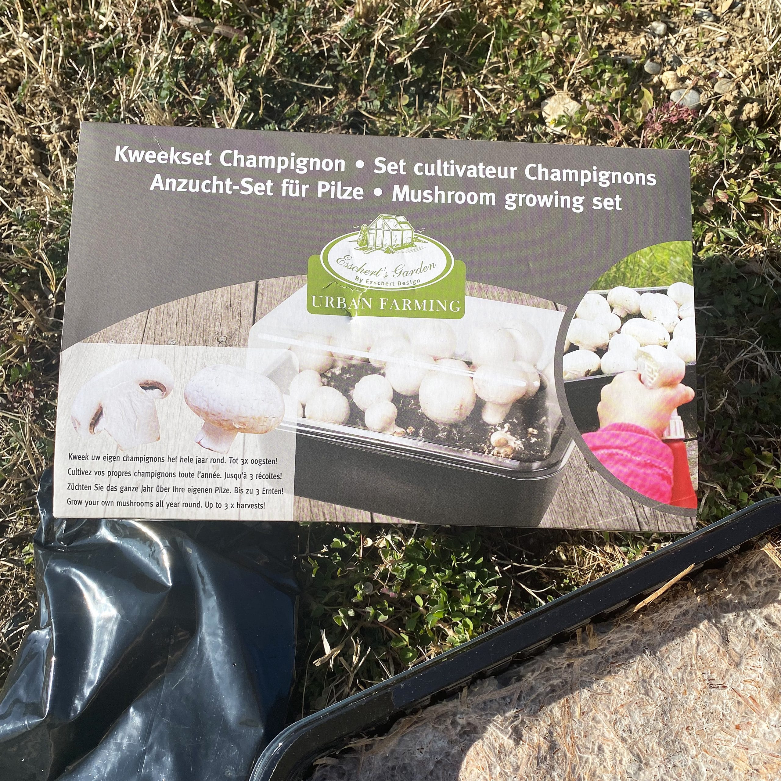 mes-courses-en-vrac-set-culture-champignons-frais-maison-serre-incluse image 3