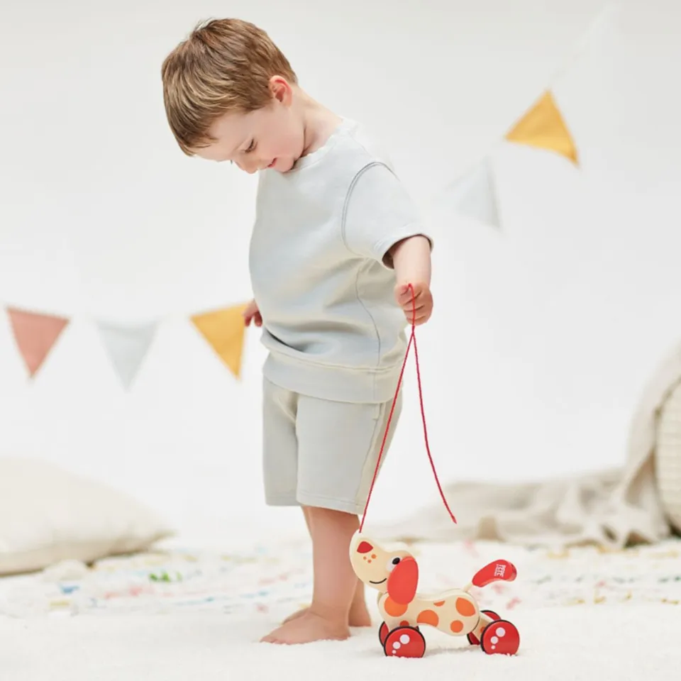 hape-chien-jouet-bois-tirer-promener-d-s-12-mois image 1