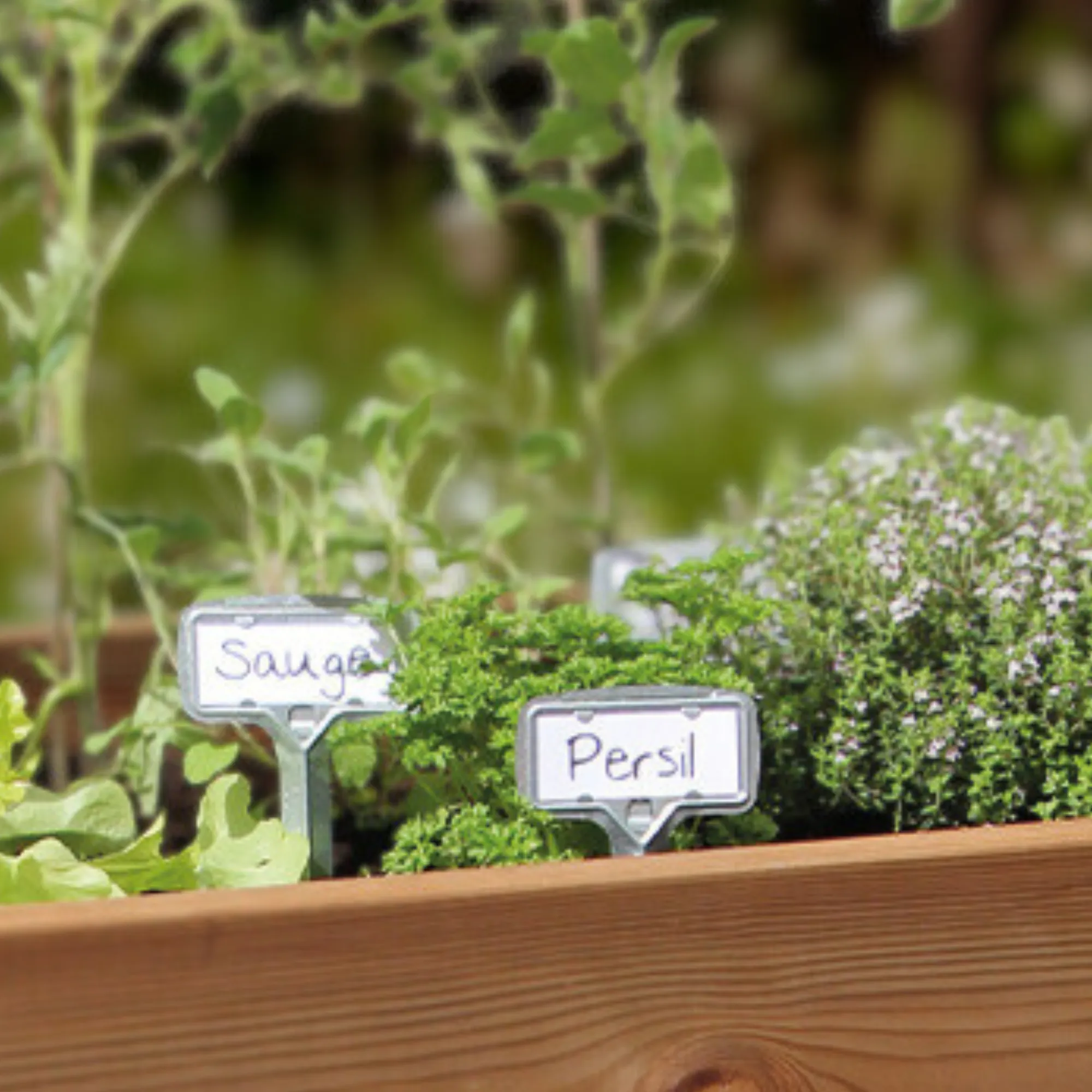 guillouard-luciole-tiquette-jardin-x5-acier-galvanis image 3
