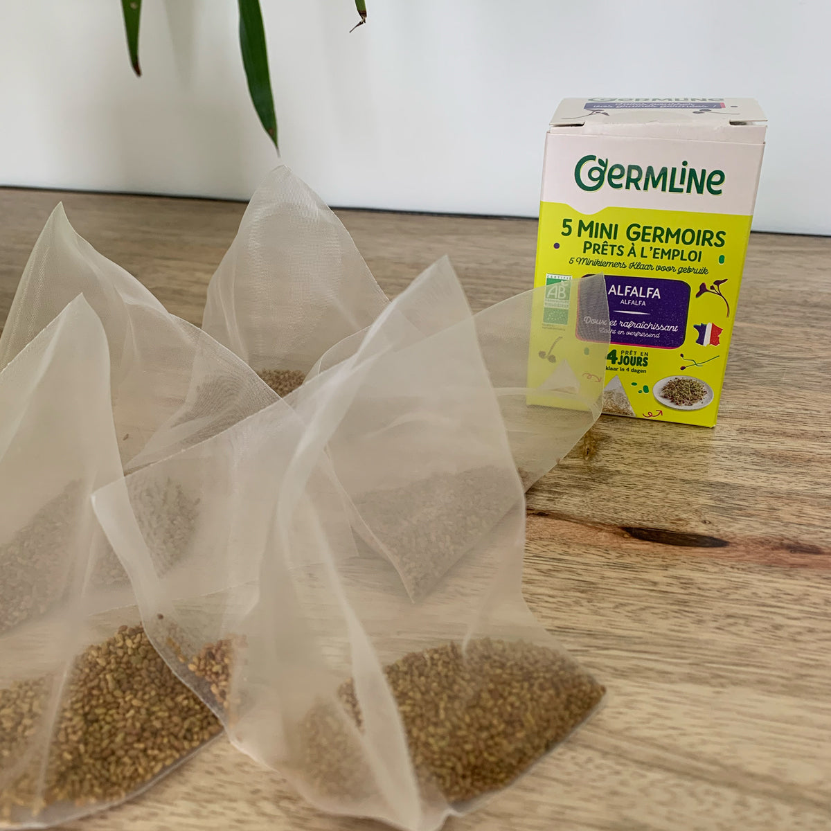 germline-alfafa-5-mini-germoirs-graines-bio-40g image 1