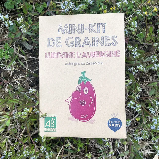 mes-courses-en-vrac-ludivine-mini-kit-graines-aubergine-bio image 1