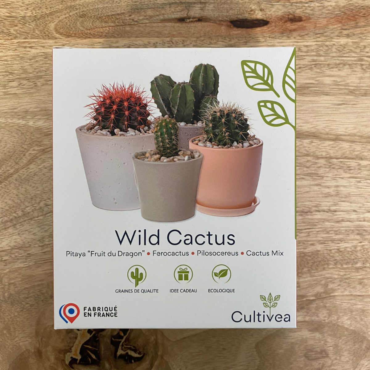 mes-courses-en-vrac-kits-planter-petit-kit-4-cactus-faire-pousser image 1