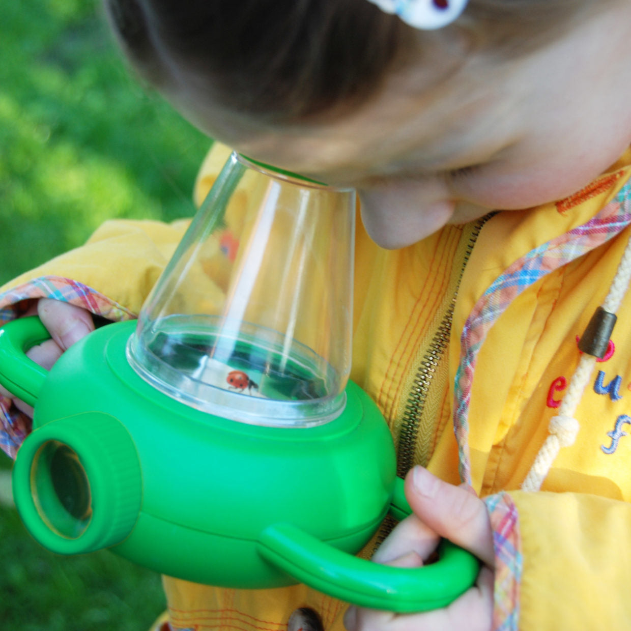 esschert-bo-te-tude-insectes-enfant-loupe image 3
