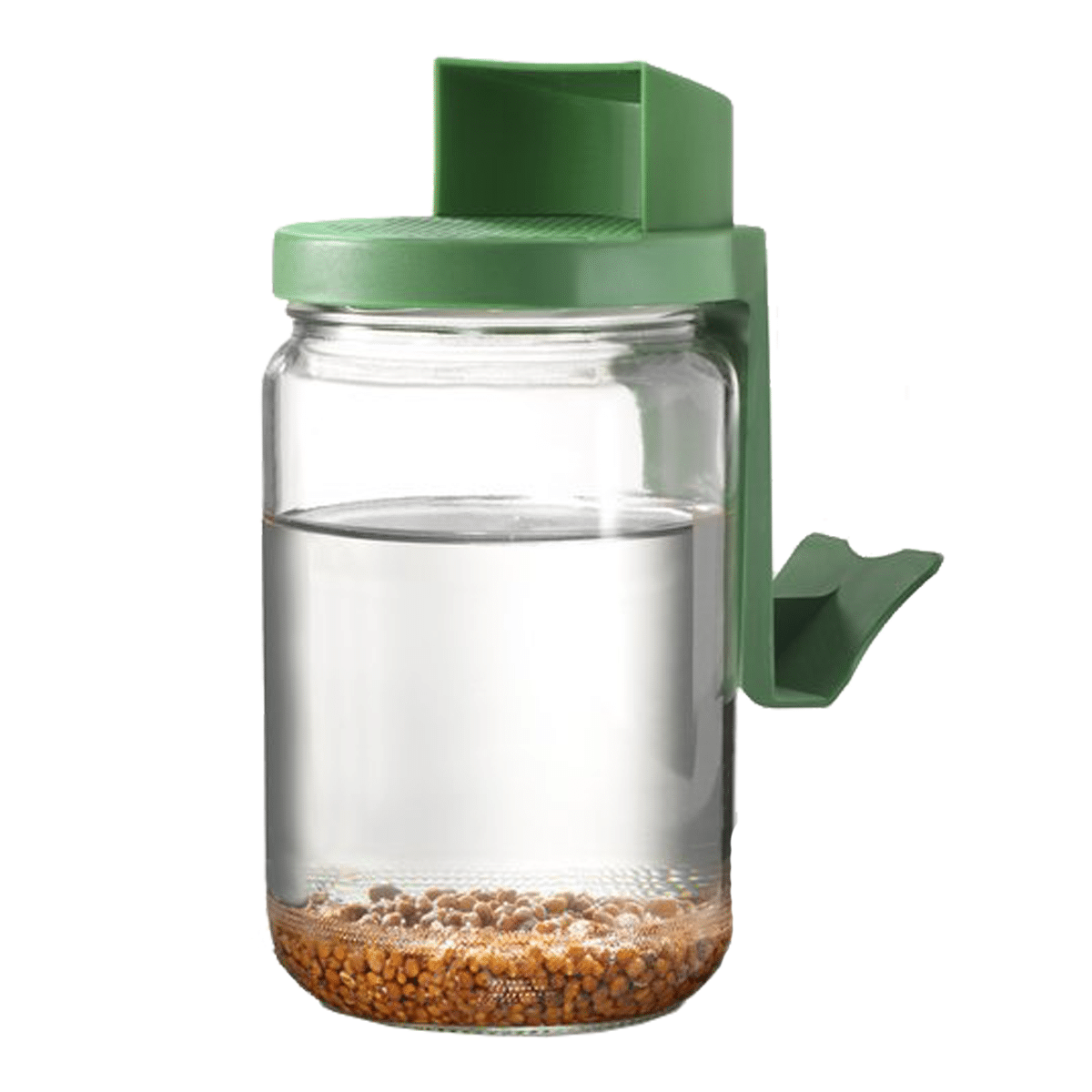 mes-courses-en-vrac-germination-et-plantes-germoir-bocal-verre-660-ml image 5