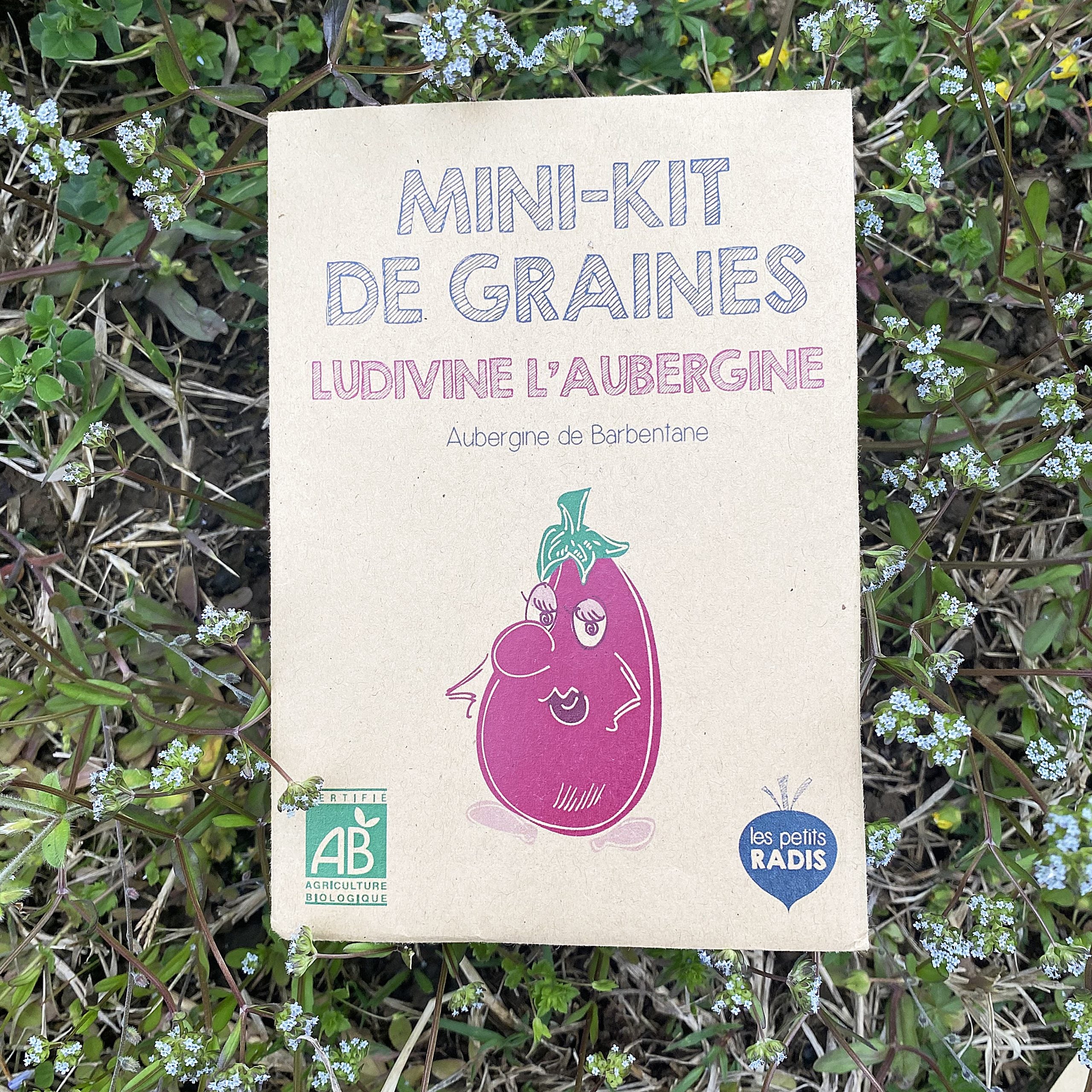 mes-courses-en-vrac-ludivine-mini-kit-graines-aubergine-bio image 1
