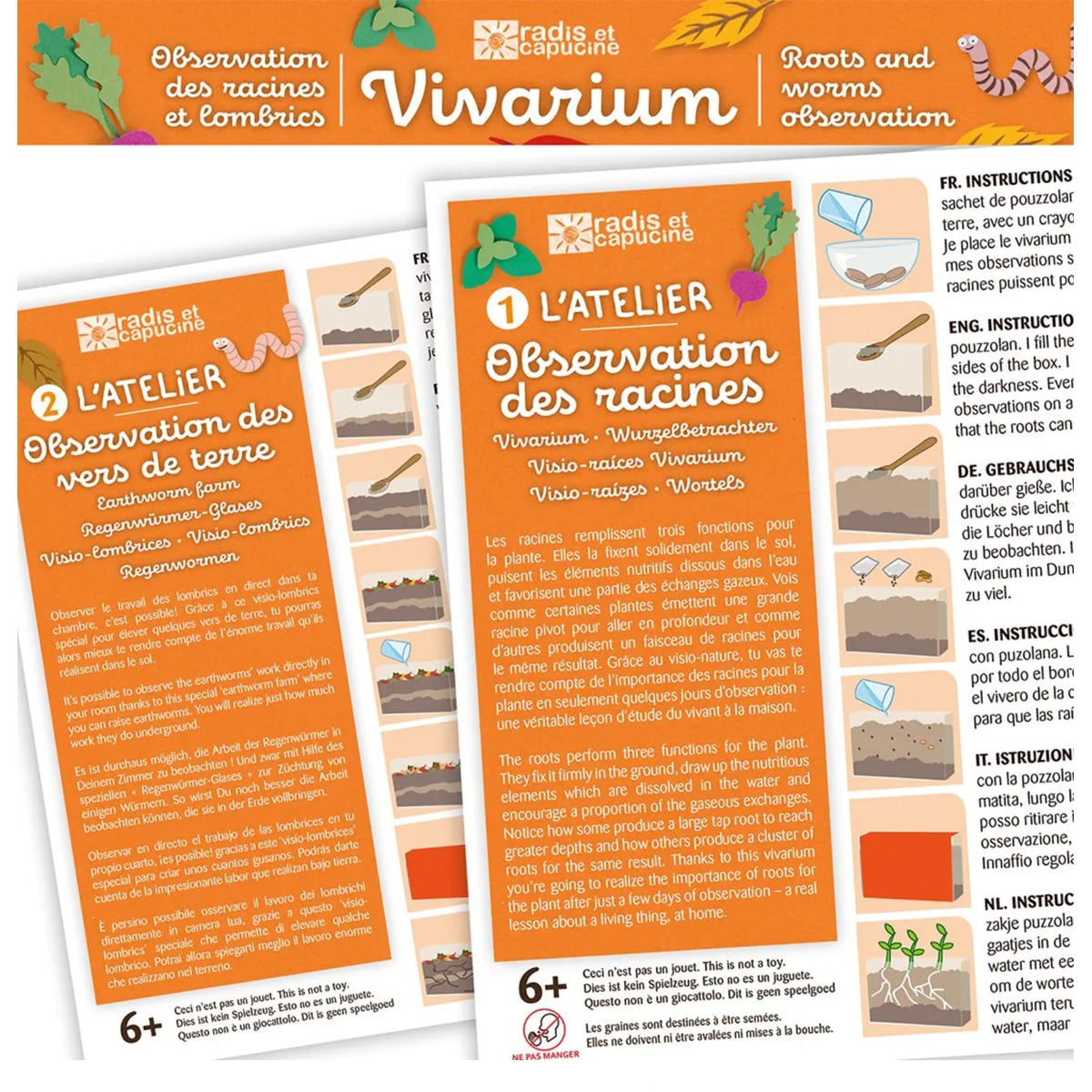 mes-courses-en-vrac-coffrets-vivarium-observation-racines-enfant image 4