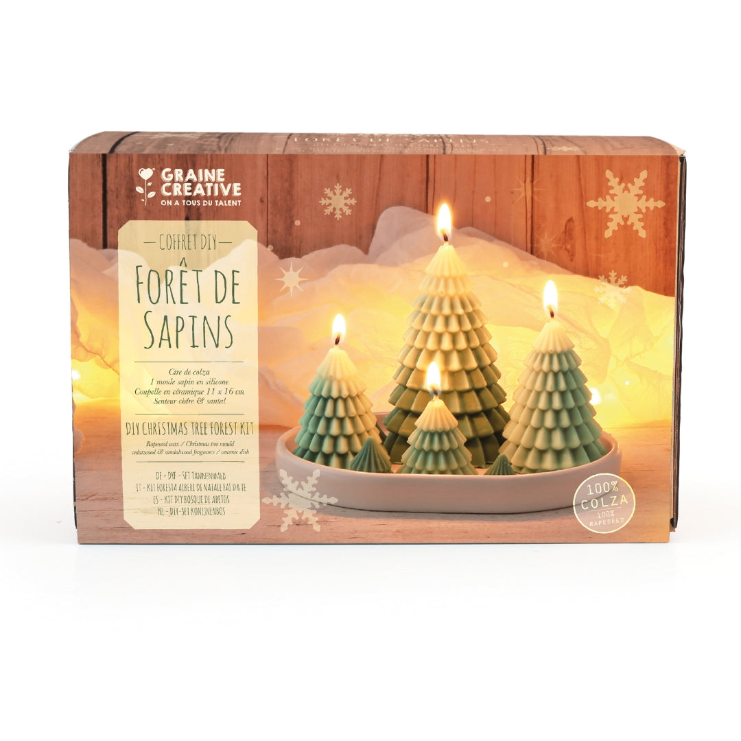 graine-cr-ative-kit-diy-bougies-for-t-de-sapins-c-dre image 2