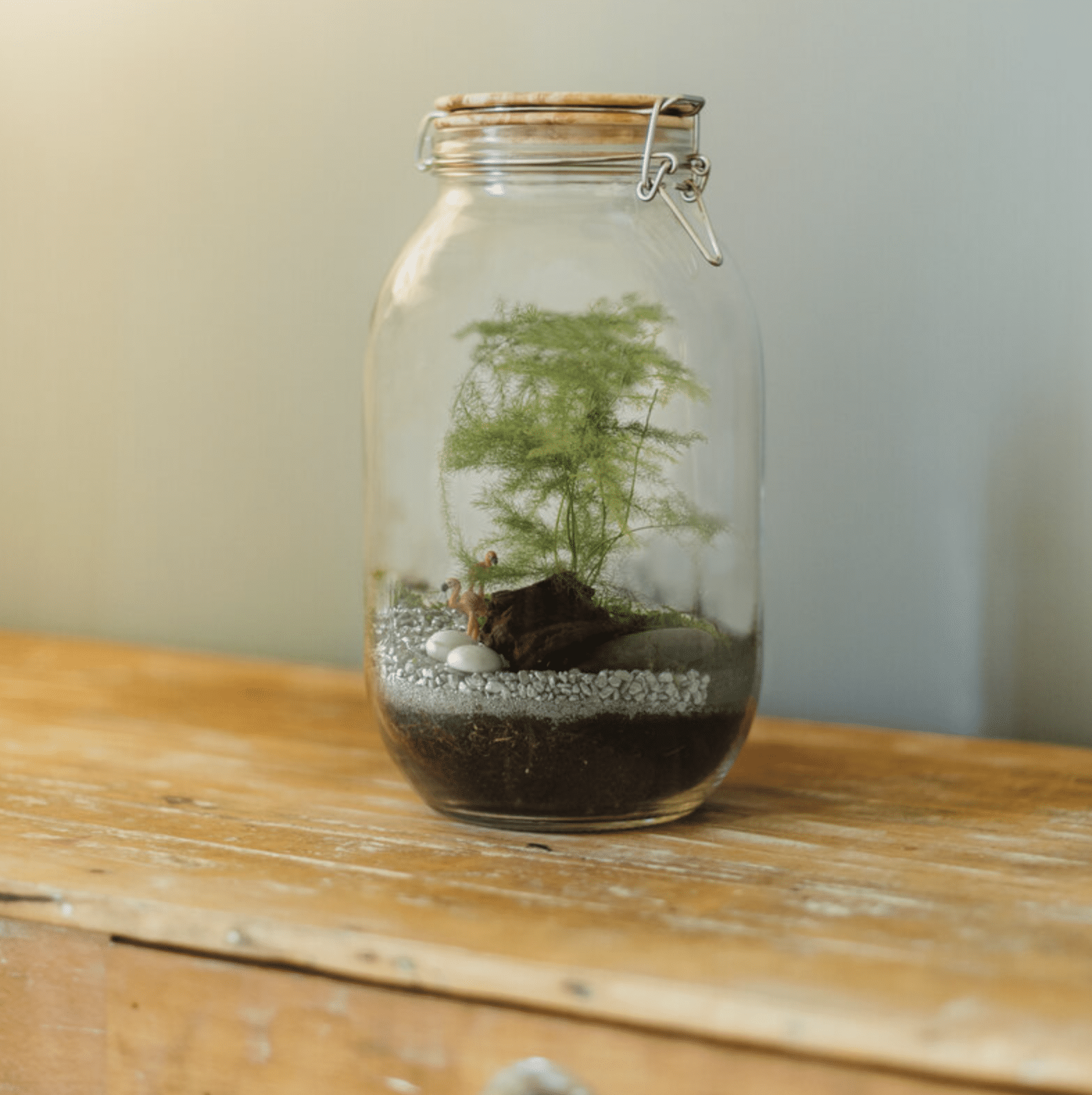 radis-et-capucine-terrarium-faire-soi-m-me-bocal-verre image 2