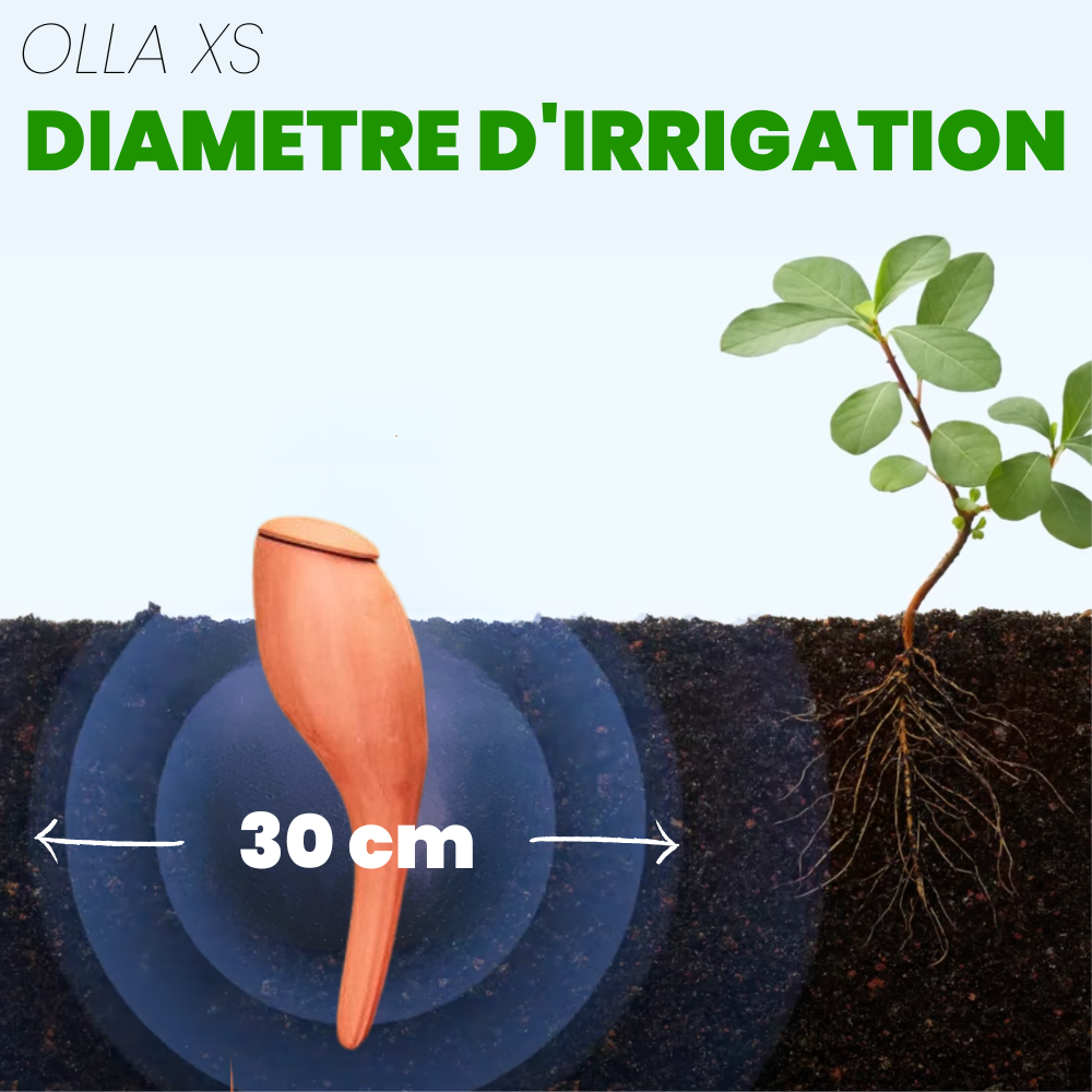 wepot-packs-ollas-grand-pack-10-ollas-xs-int-rieur image 2