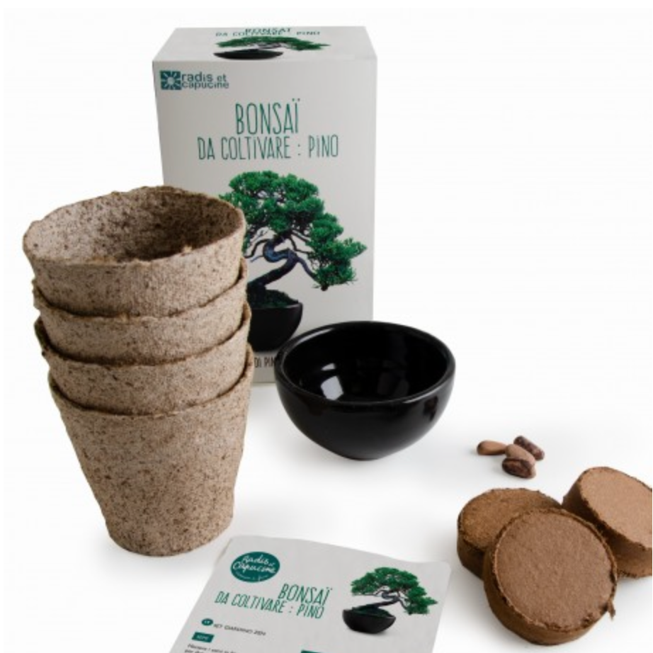radis-et-capucine-kit-bonsa-faire-pousser-graines image 3