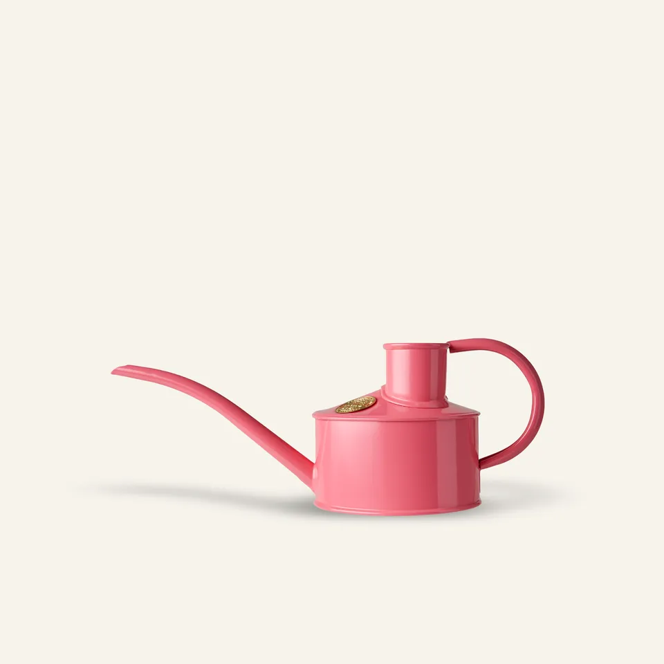 haws-fazeley-flow-arrosoir-int-rieur-1-pinte-rose image 1
