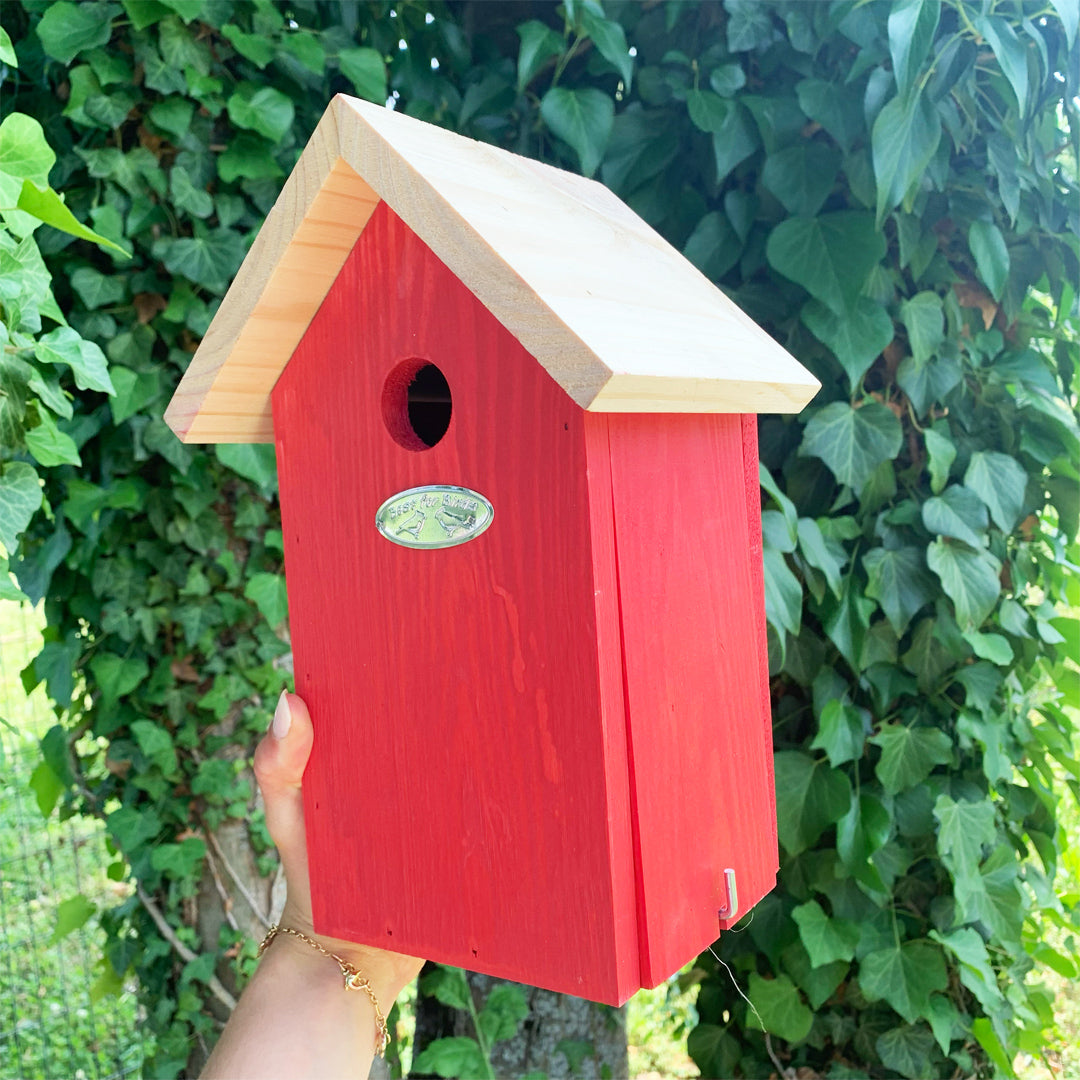 esschert-design-nichoir-oiseaux-bois-coloris-al-atoire-25-cm image 8