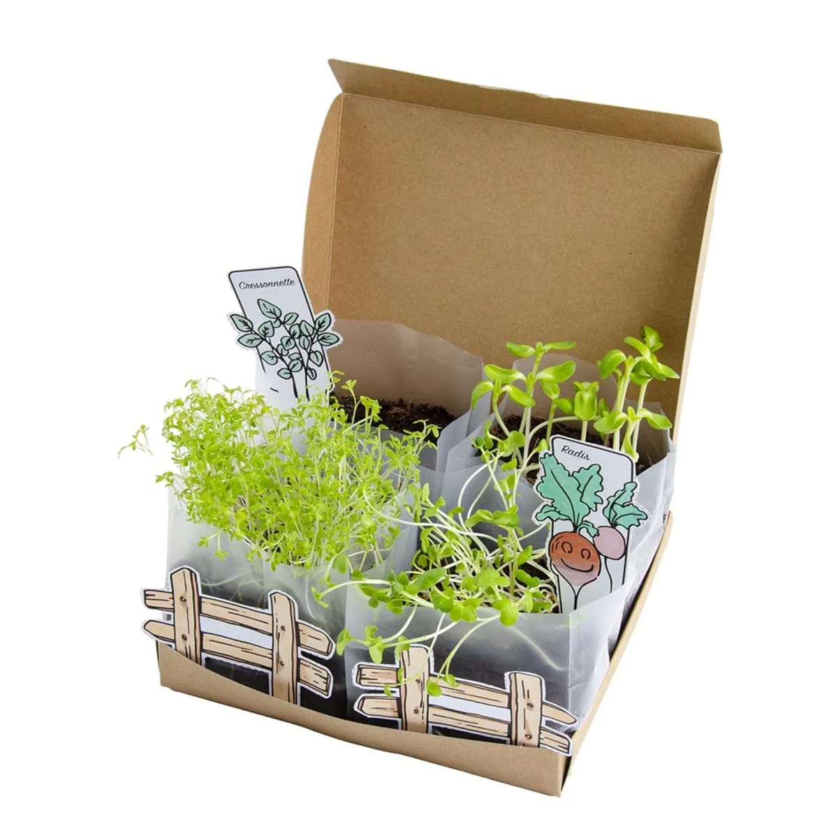 radis-et-capucine-mini-potager-kit-planter-4-vari-t-s image 3