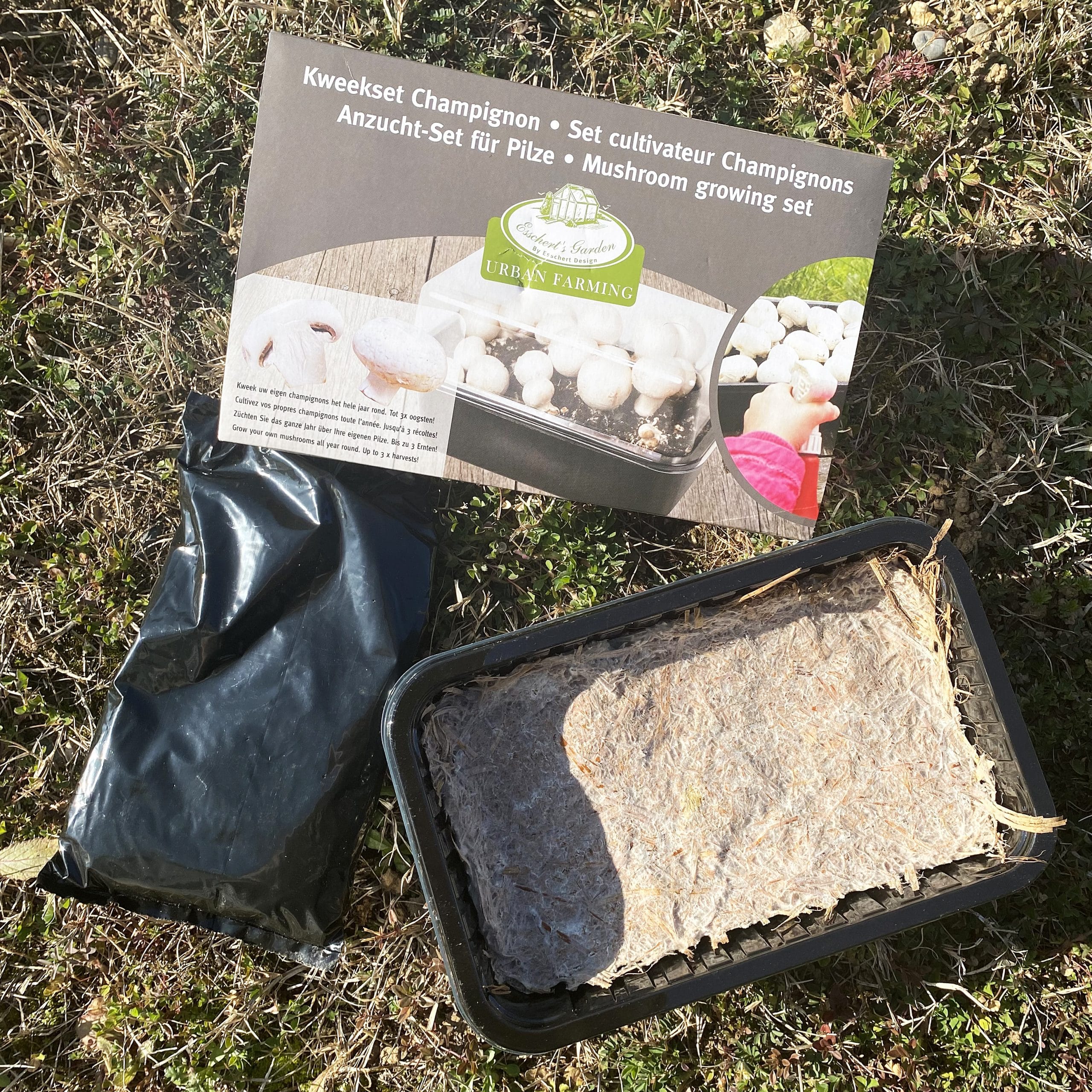 mes-courses-en-vrac-set-culture-champignons-frais-maison-serre-incluse image 1