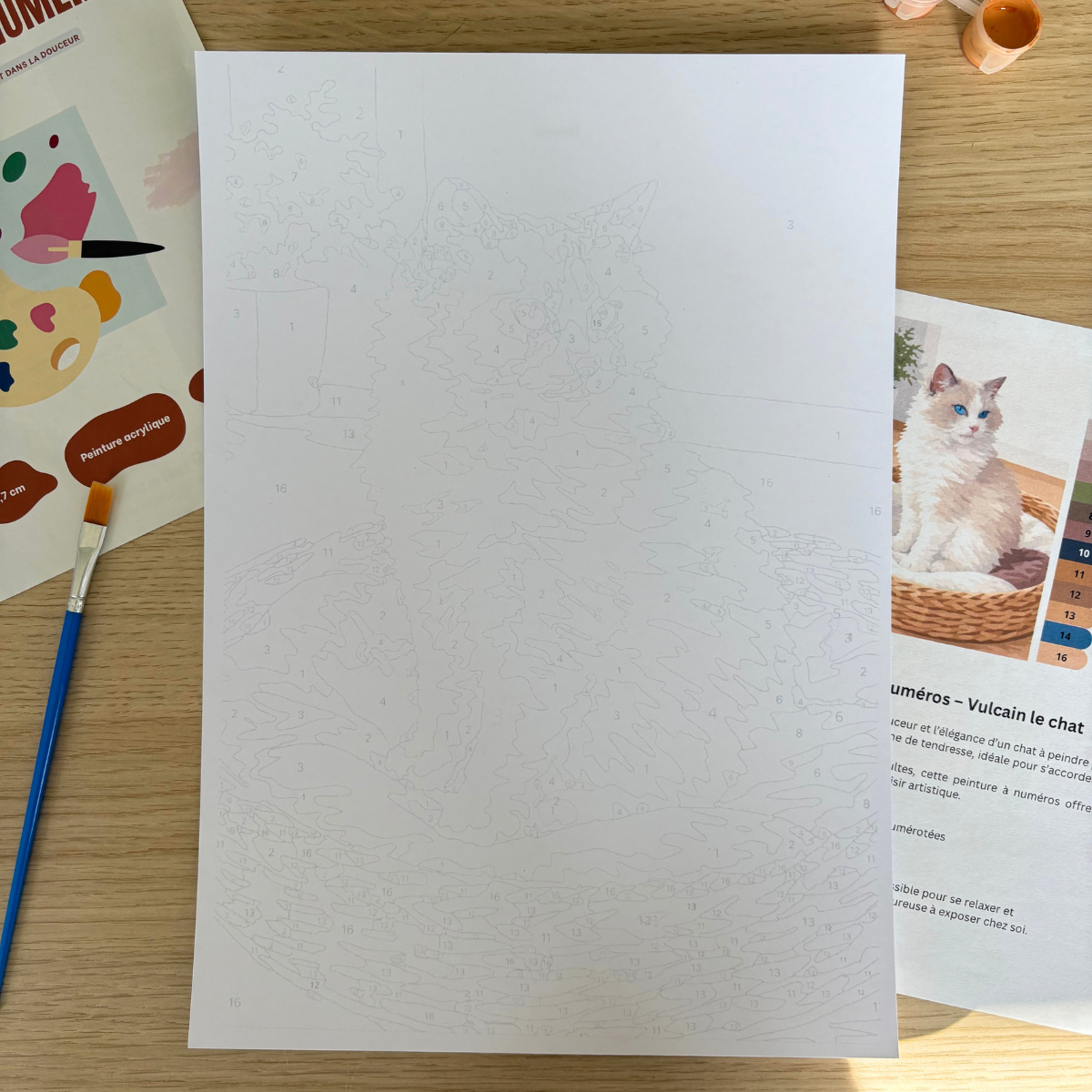 peinture-par-num-ros-chat-vulcain-a4-biosourc-e image 4