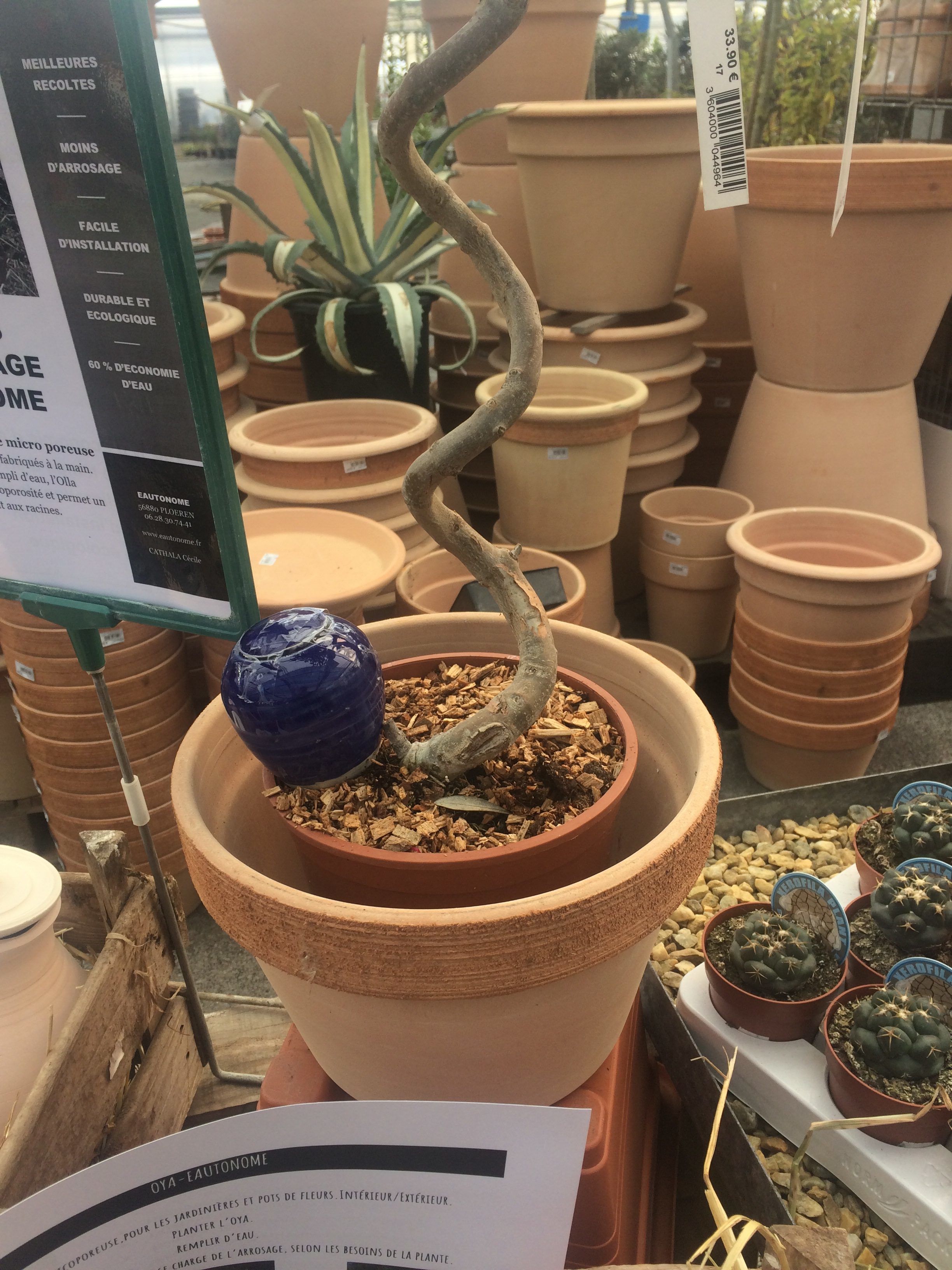 eautonome-oyas-planter-oya-arrosage-bleu-nuit-conome image 4